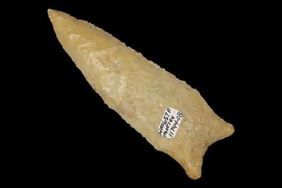 4" Dalton Point, Motley COA, Greene Co., Illinois, Ex. Herb Mangold