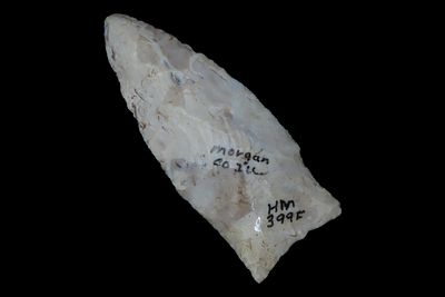 3" Holland Dalton, Morgan Co., Illinois