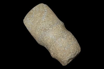 4 1/4" x 2" Stone Adze, Grooved, Possible Face on Poll End, Connecticut