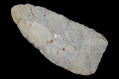 3 3/8" x 1 5/8" Knife Blade, Indiana