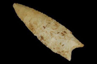 3 1/4" x 1" Dalton Point, Boone Co., Missouri