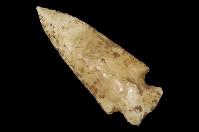 2 3/8" x 7/8" Scallorn, Local Chert, Clay Co. Arkansas, Ex. George Robertson