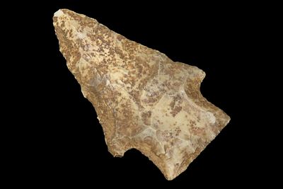 2 7/8" x 1 3/16" Hardin, Tan Local Chert, Clay Co., Arkansas, Ex. George Robertson