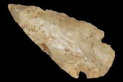 3" x 1 1/2" Warrick, Local Chert, Clay Co., Arkansas, Ex. George Robertson. 2 1/4" x 1 1/8" 