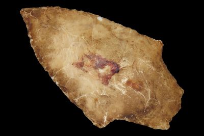 3" x 1 11/16" Dickson, Burlington Chert, Cass Co. Missouri, Ex. George Robertson