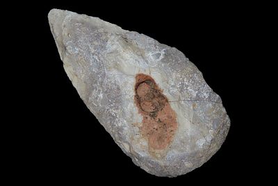 4 3/16" x 2 1/16" Stanfield Knife, Cool Inclusion, Quartzite, Butler Co. Missouri, Ex. George 