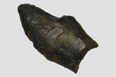 1 7/8" Clovis, Rogers COA, Hamilton Co., Tennessee