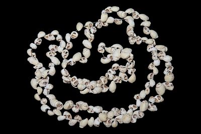 20 1/2" Strand of Shell Beads, Found in Indiana