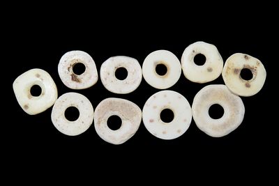 Lot of Shell Beads, Greene Co., Tennessee