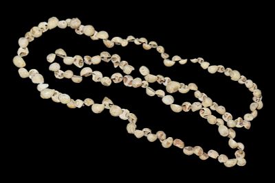 15" Strand of Shell Beads, Found in Indiana
