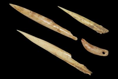 Lot of Bone and Drilled Tooth Artifacts, Central Kentucky