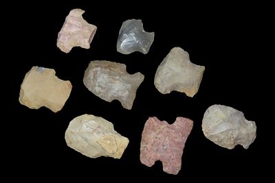 Lot of 8 Blunts, Humphreys Co., Tennessee