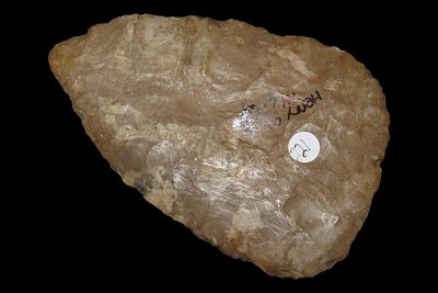 3 3/4" Archaic Blade, Dover Material, Henry Co., Tennessee