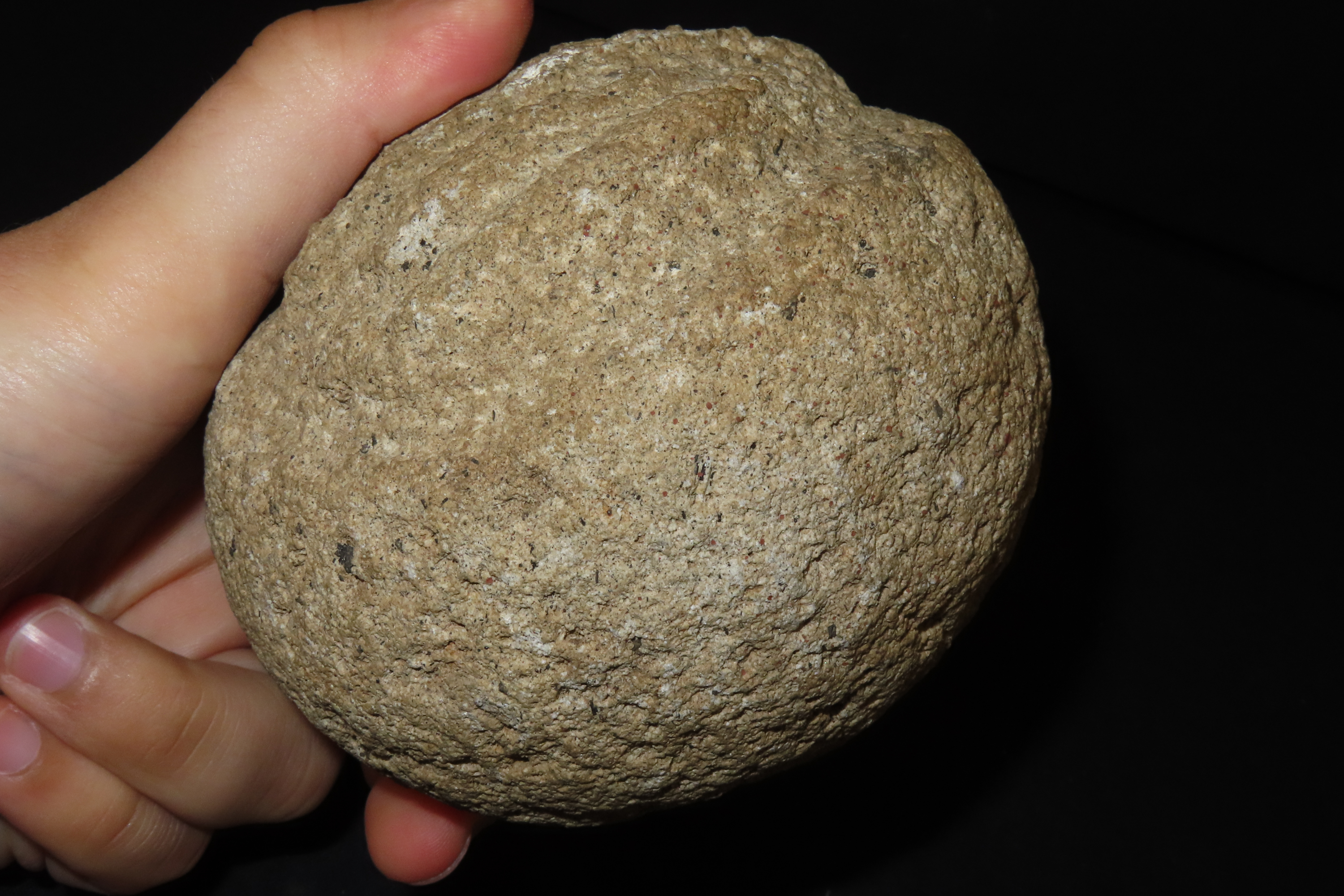 4 1/2" Ancestor Amulet, Bezoa Valley, Central Sulawesi Island, Stone Head