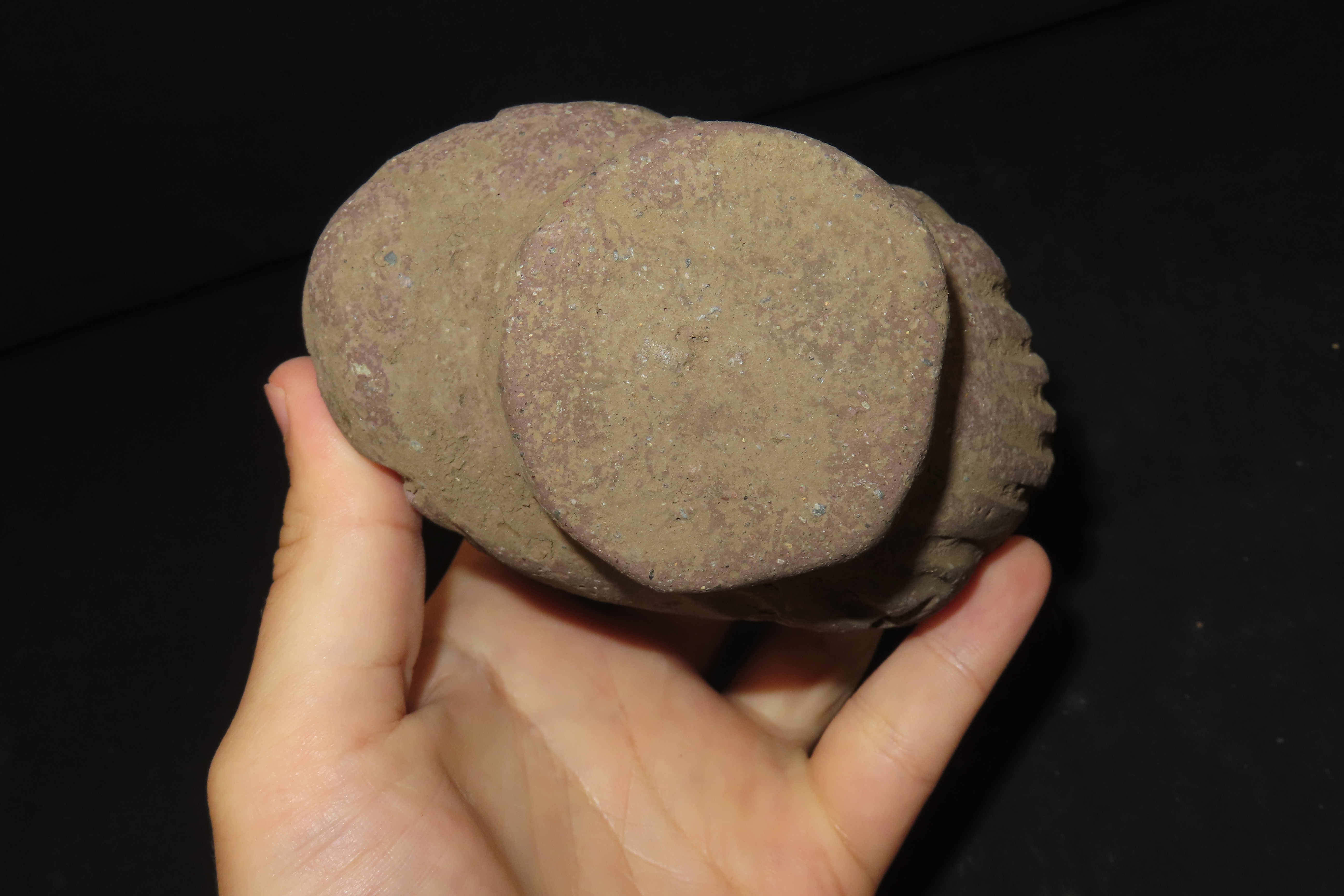 4" x 5" Pre-Columbian Stone Trophy Head, Costa Rica