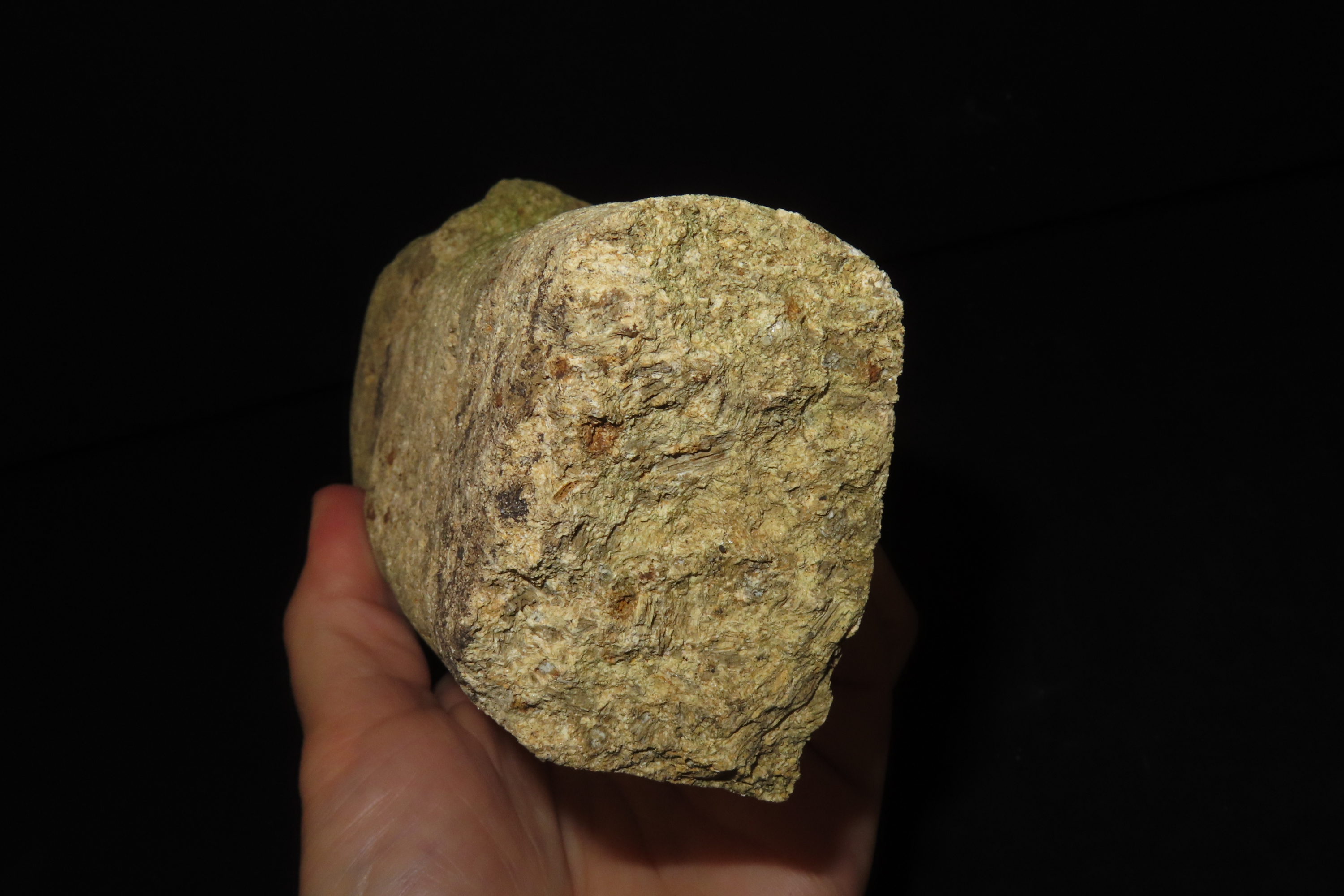 9" x 3" Stone Effigy, Sumba Island, Planted Near Village Entrances for Healing and Protection from Malevolent Spirits