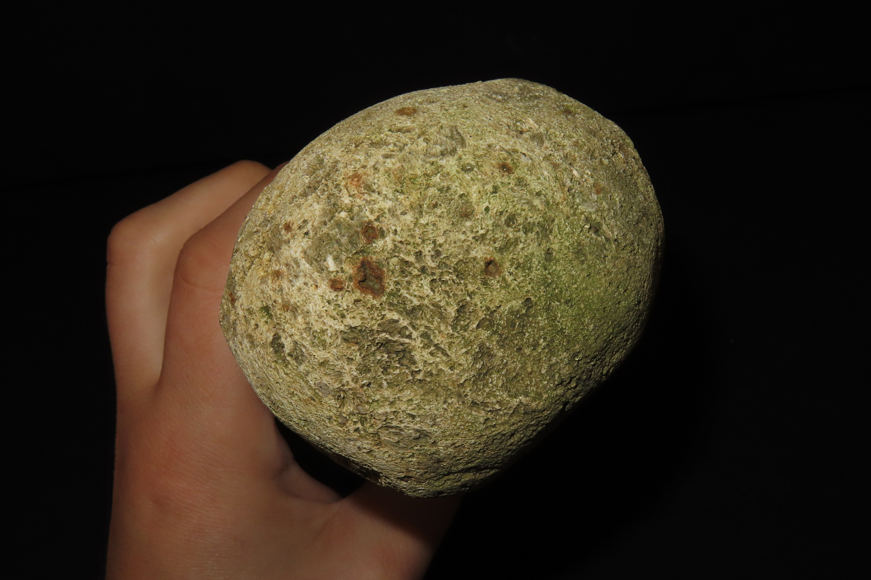 9" x 3" Stone Effigy, Sumba Island, Planted Near Village Entrances for Healing and Protection from Malevolent Spirits