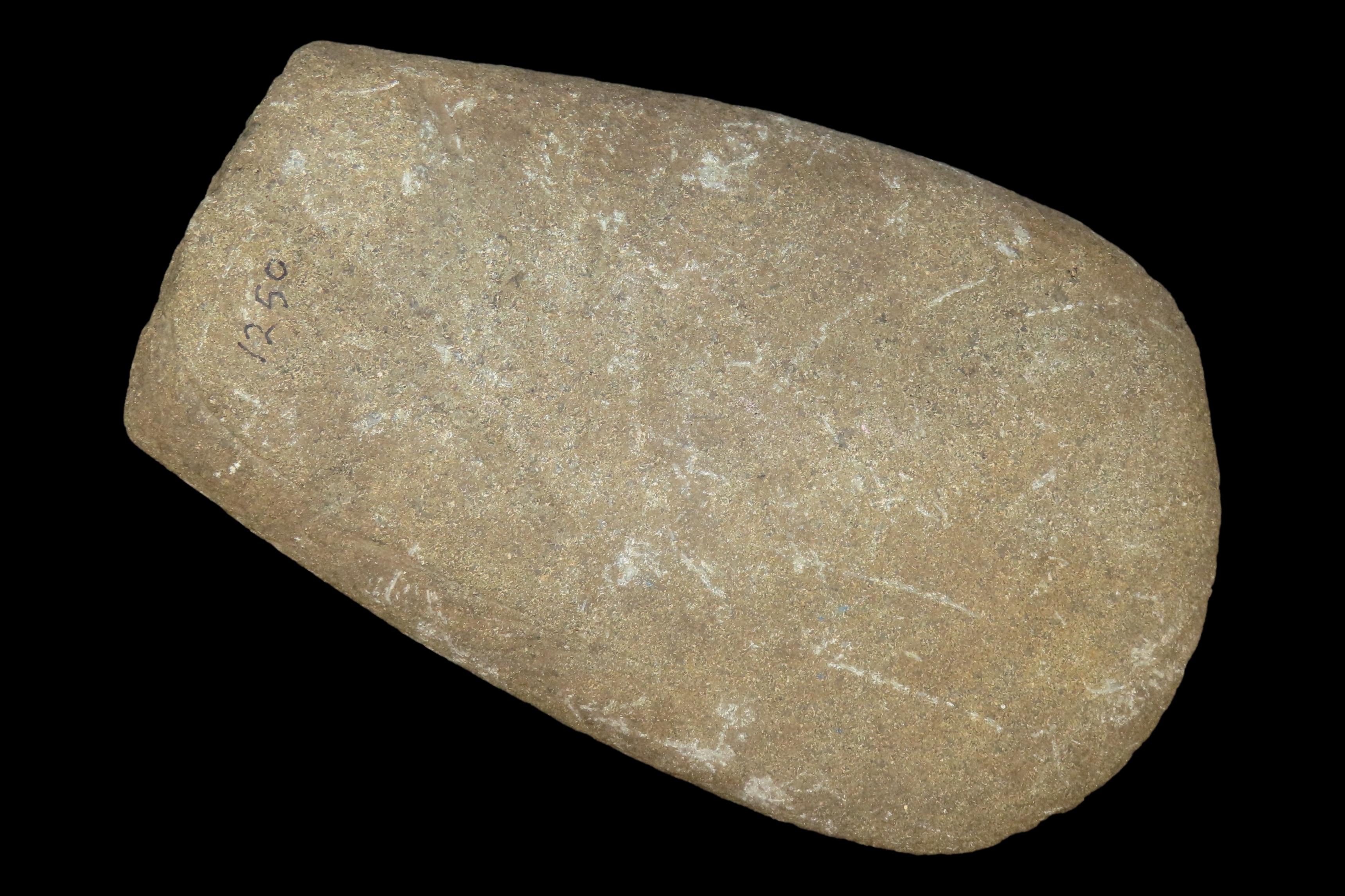 9 1/4" x 5 7/8" Large Celt, Benton Co., Tennessee