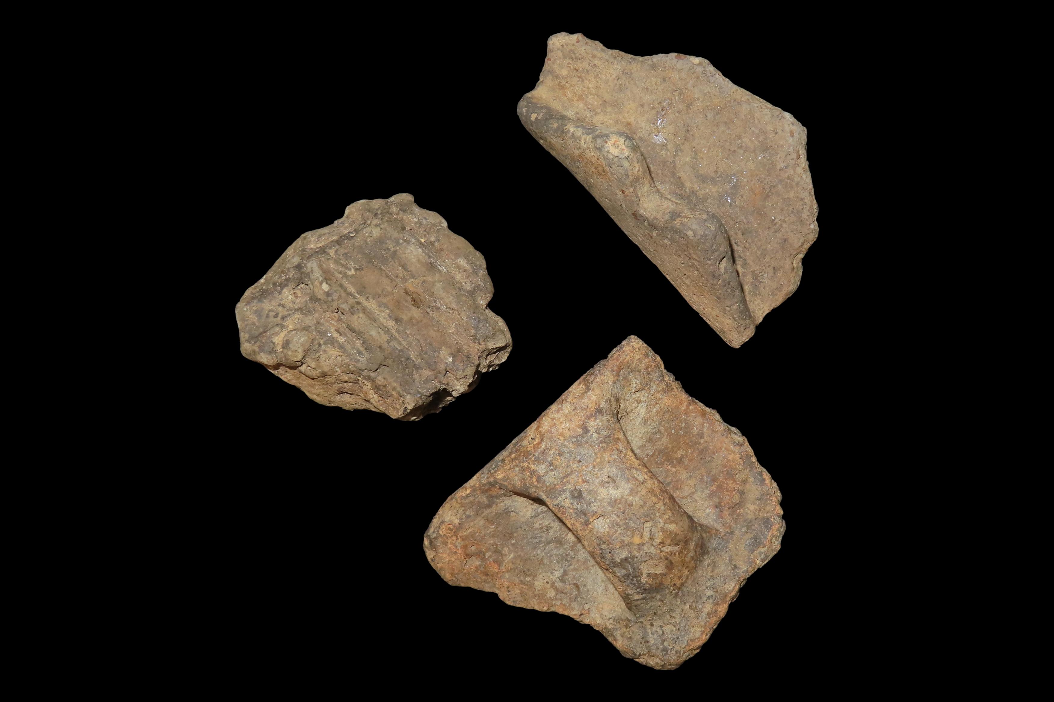 8" x 7" Riker Frame Containing House Floor Artifacts and Woodland Pottery Handles, Big Sandy River, Benton Co., Tennessee, Shell Diver Finds
