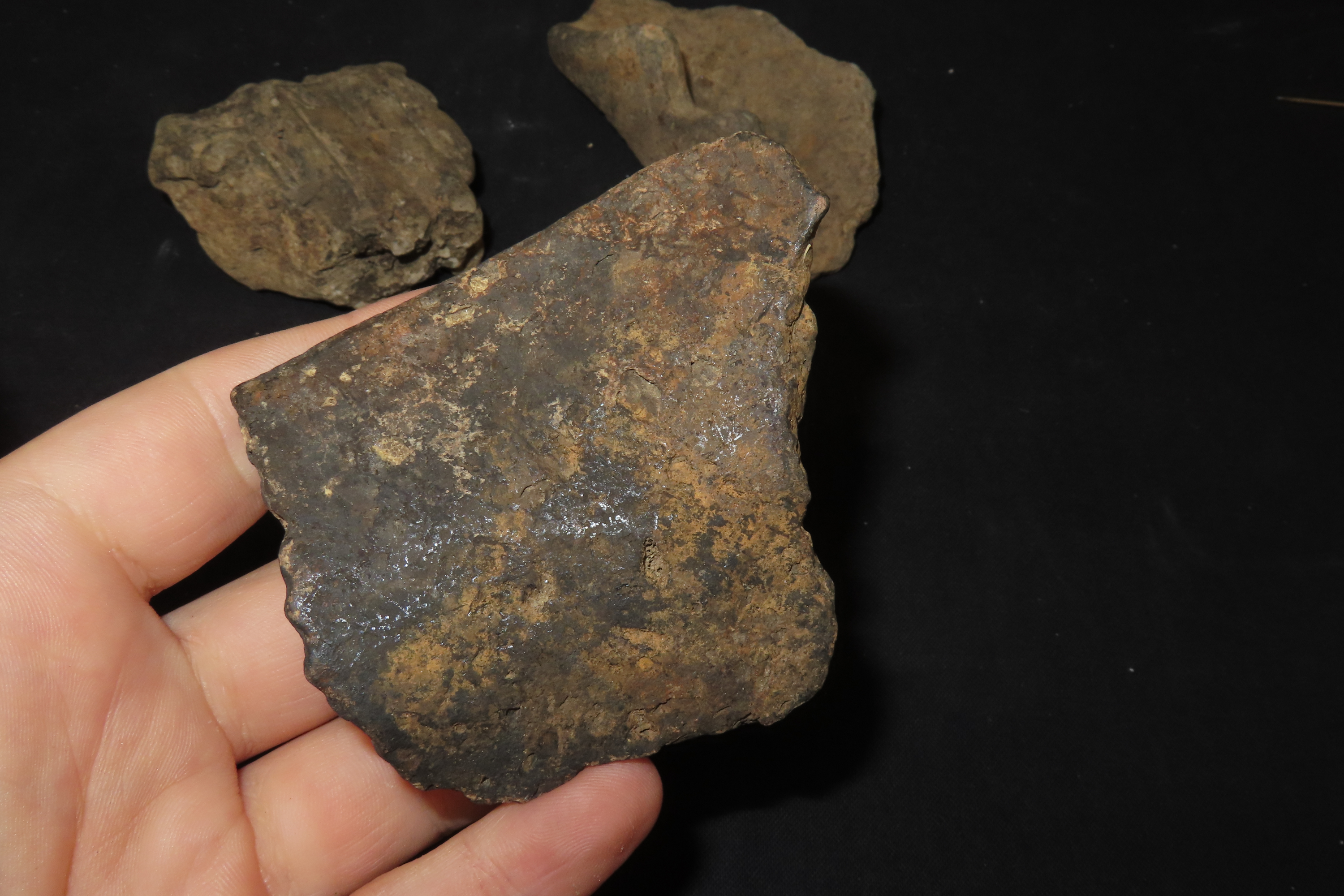 8" x 7" Riker Frame Containing House Floor Artifacts and Woodland Pottery Handles, Big Sandy River, Benton Co., Tennessee, Shell Diver Finds