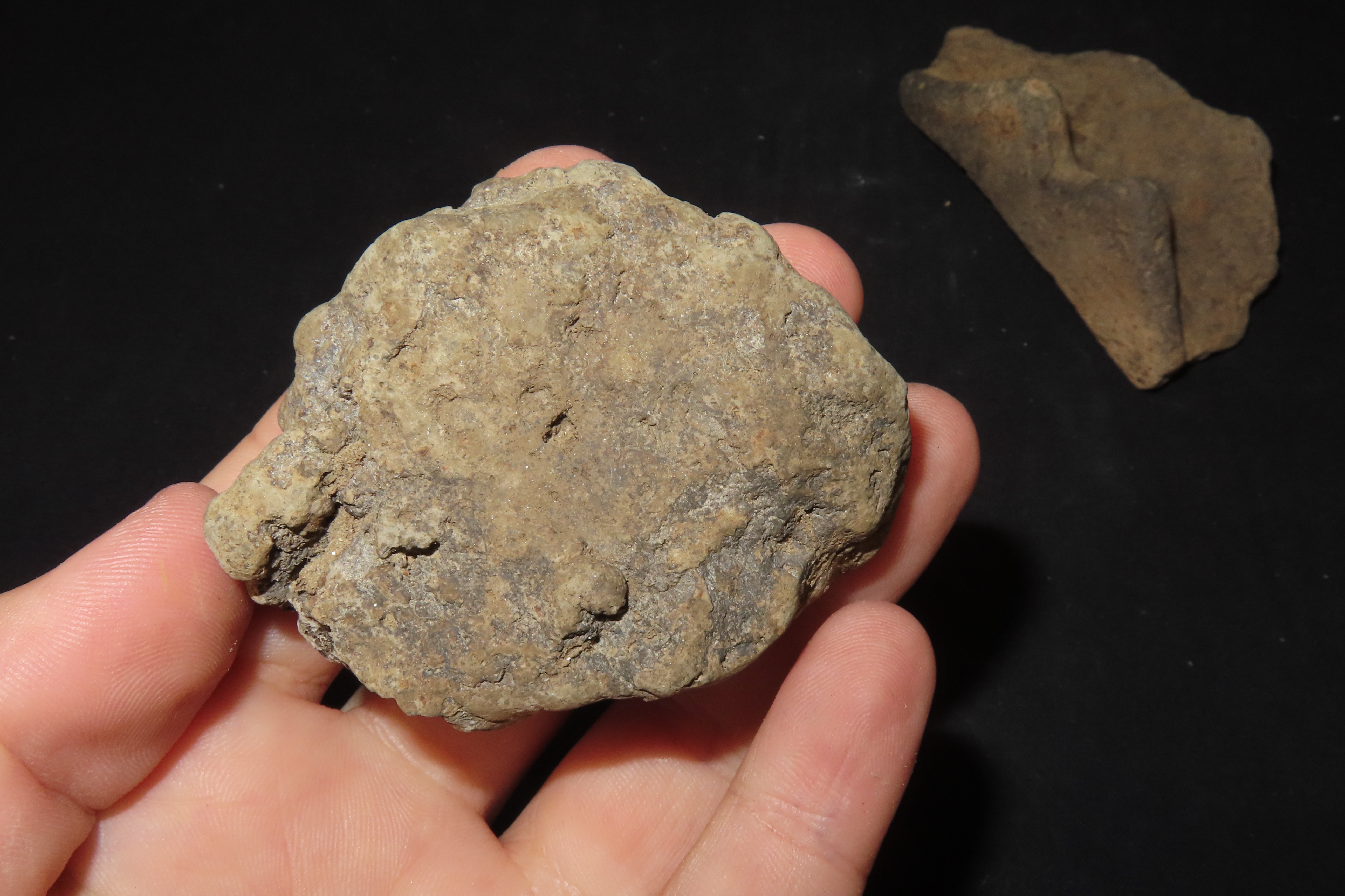 8" x 7" Riker Frame Containing House Floor Artifacts and Woodland Pottery Handles, Big Sandy River, Benton Co., Tennessee, Shell Diver Finds
