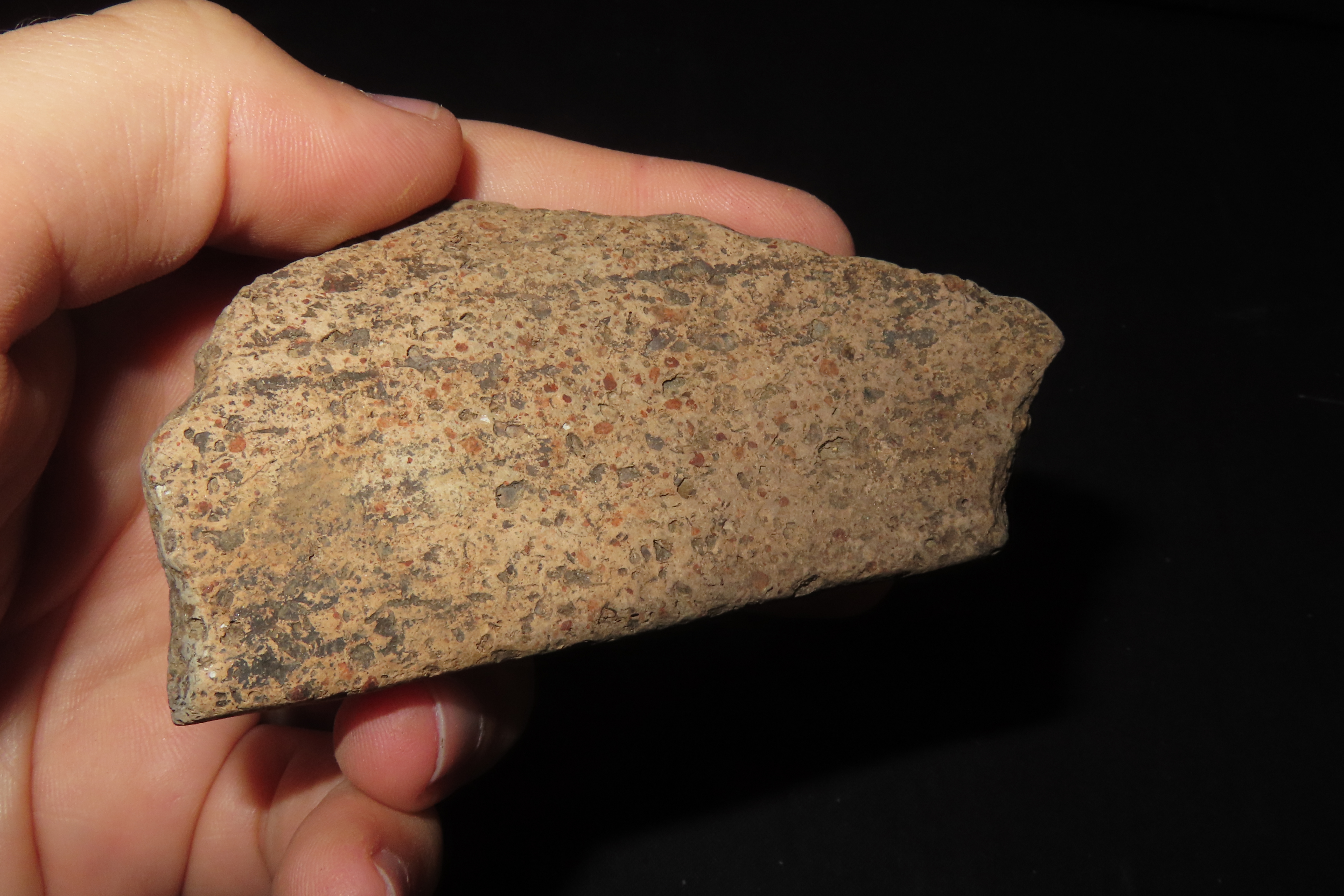 8" x 7" Riker Frame Containing House Floor Artifacts and Woodland Pottery Handles, Big Sandy River, Benton Co., Tennessee, Shell Diver Finds