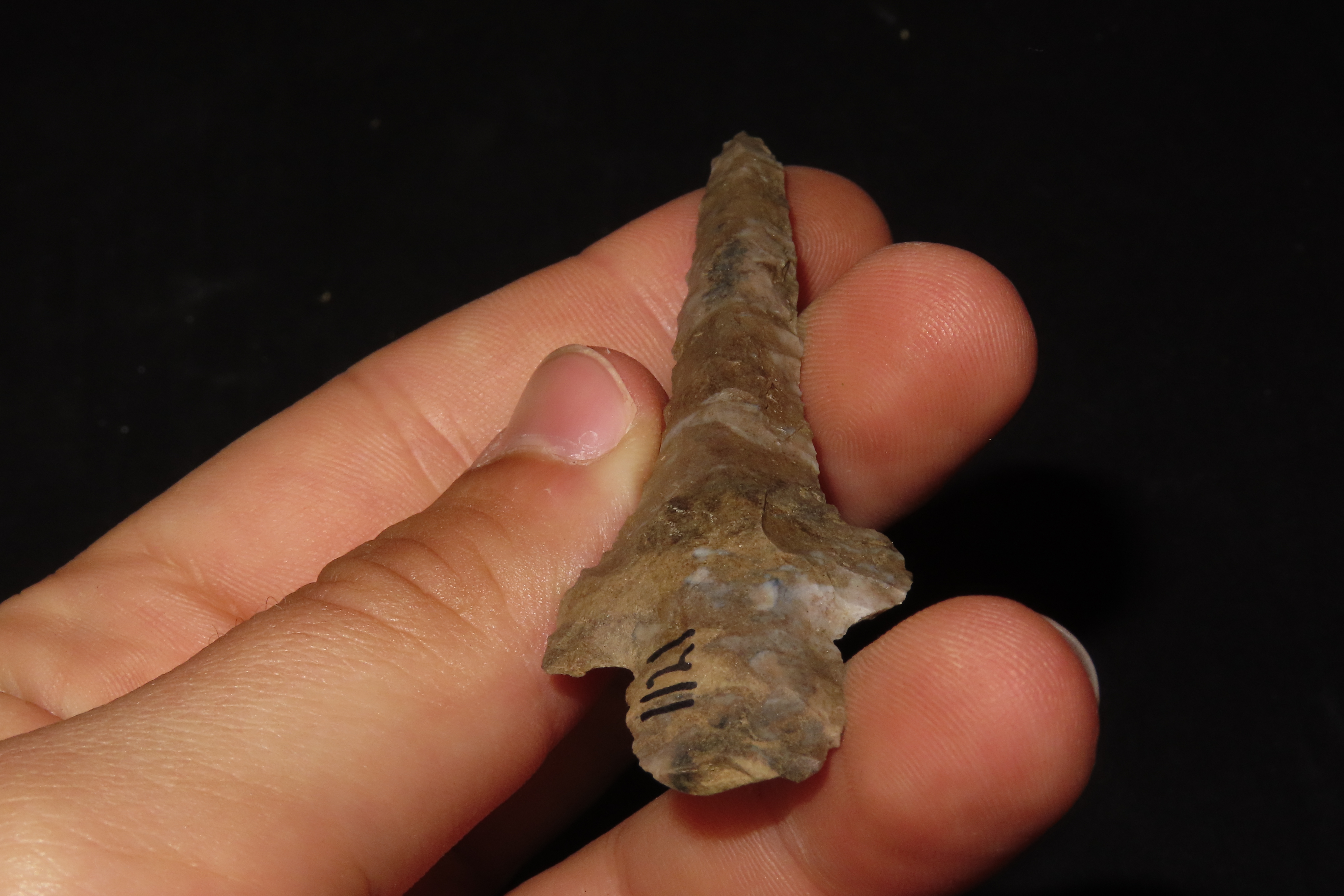 3" Drill, Eastern Tennessee