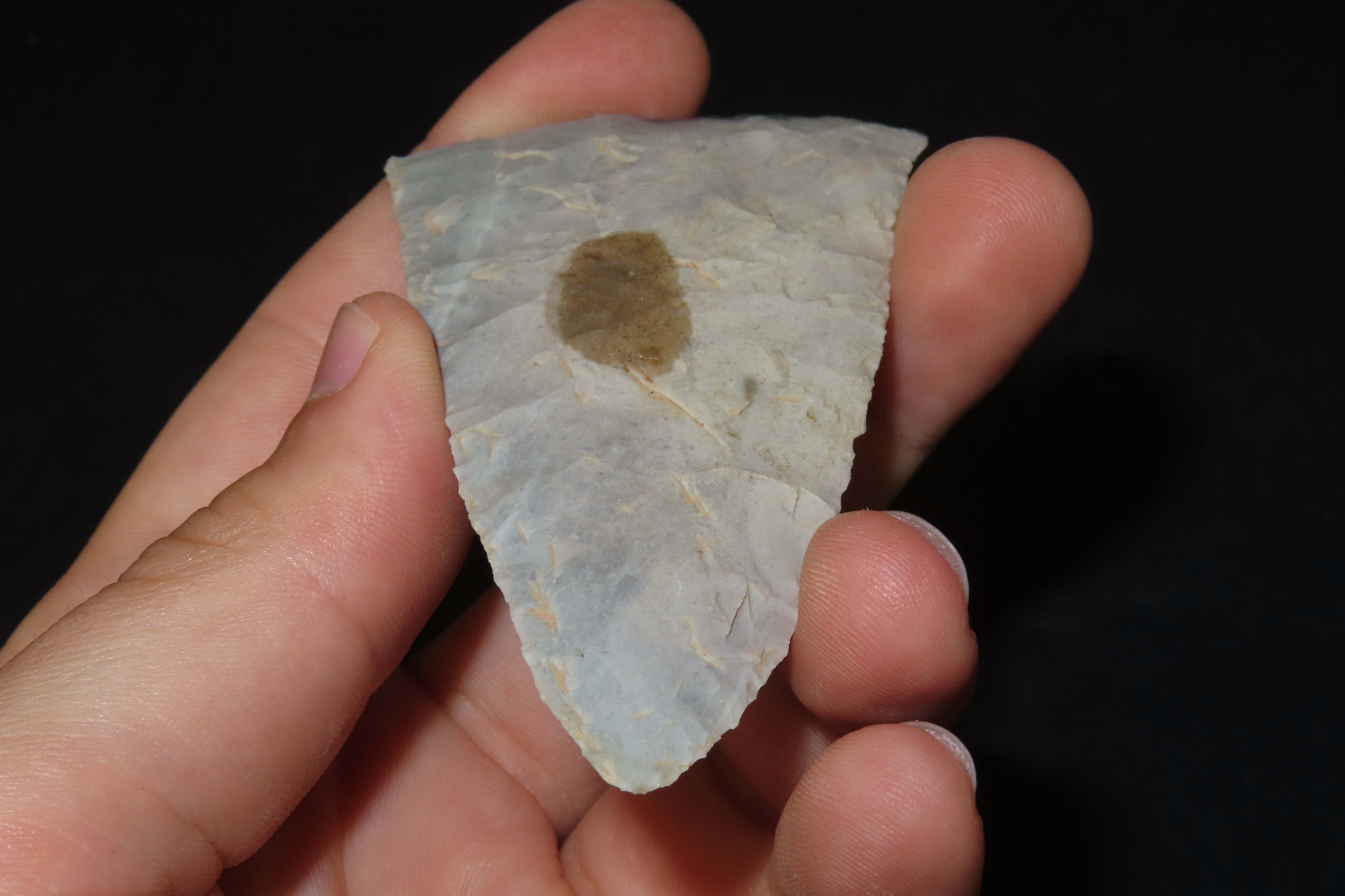 3 1/4" Benton Blade, Kentucky