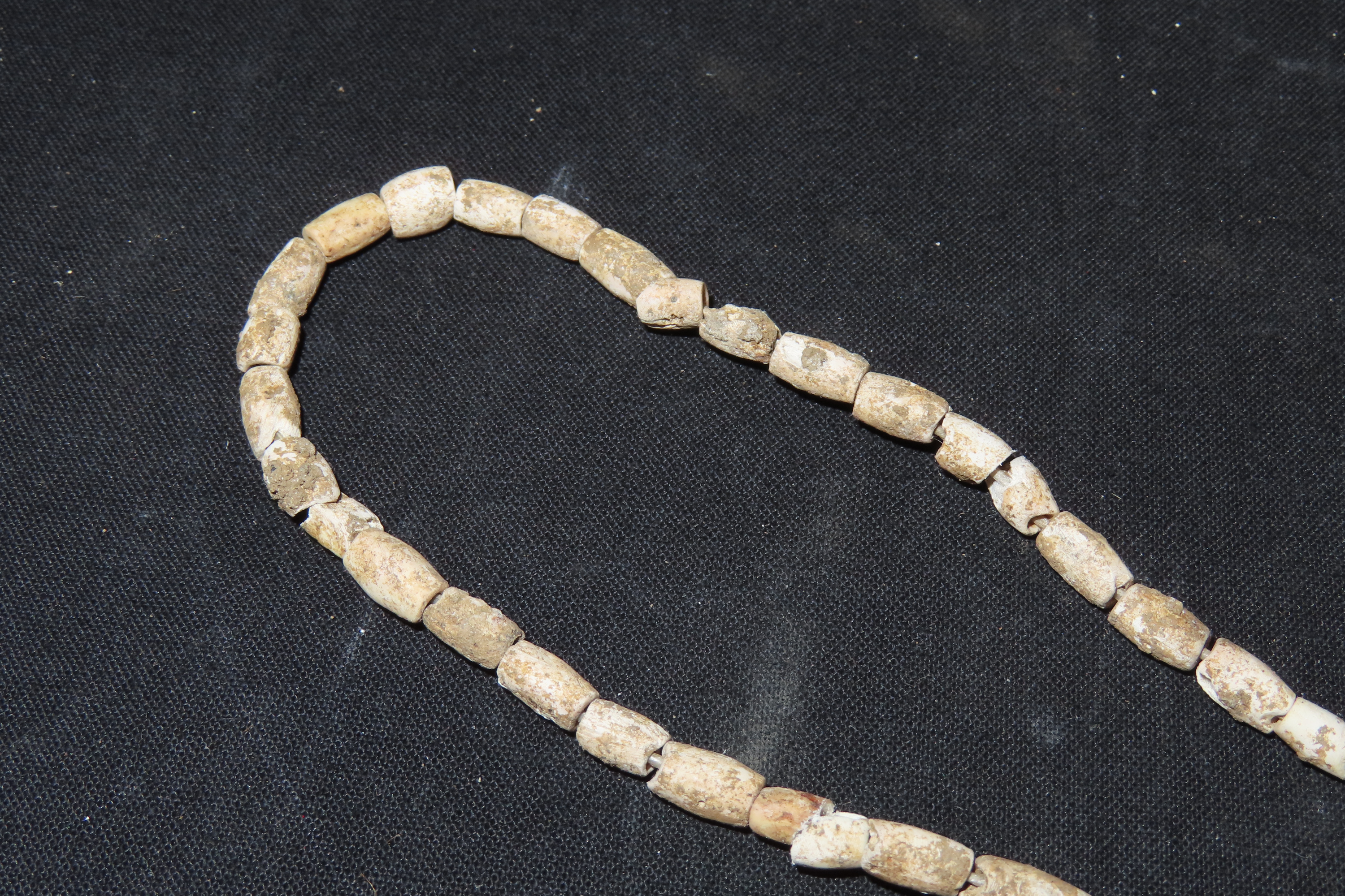 10 1/4" Strand of Shell Beads, Benton Co., Tennessee