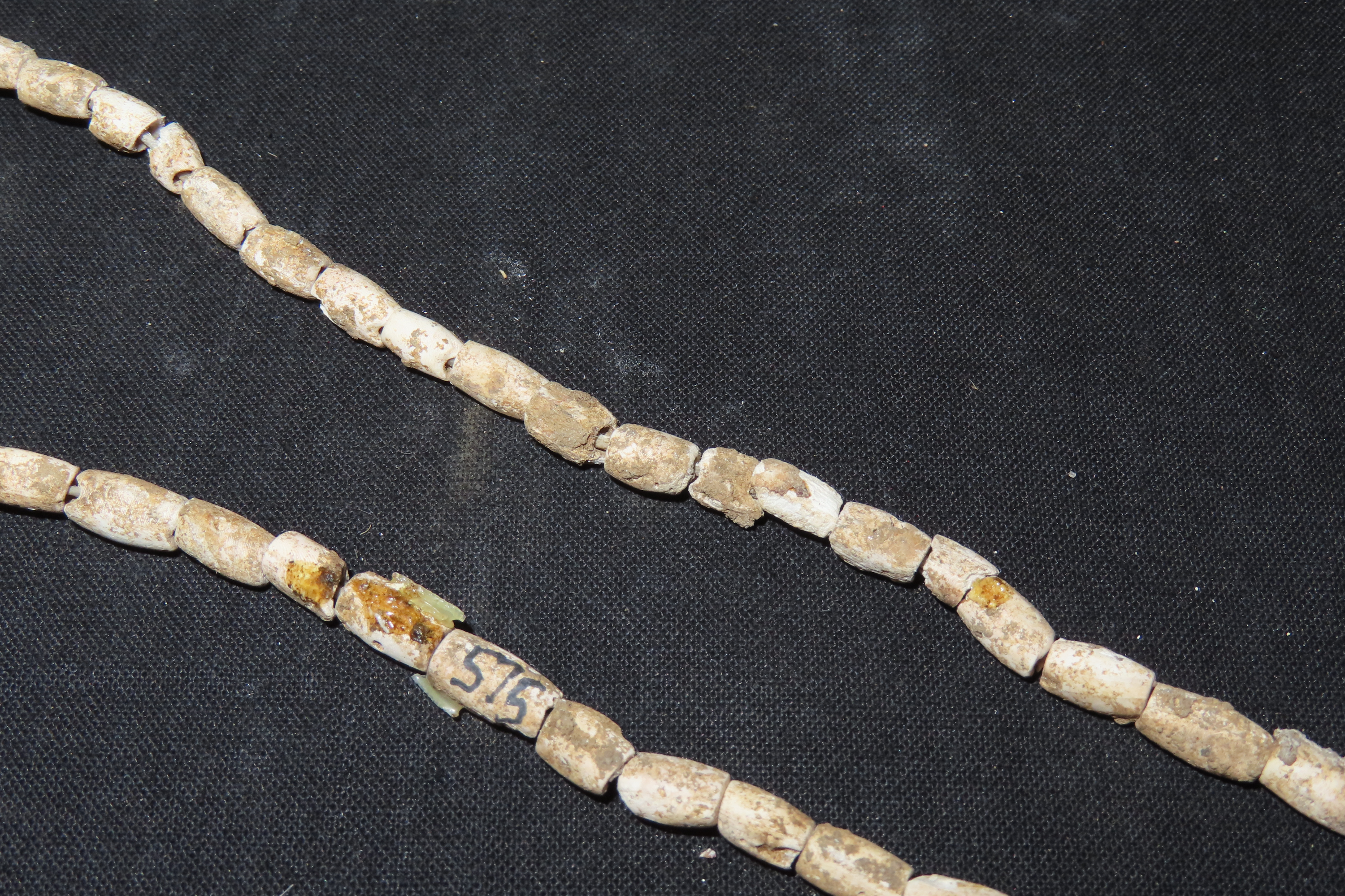 10 1/4" Strand of Shell Beads, Benton Co., Tennessee