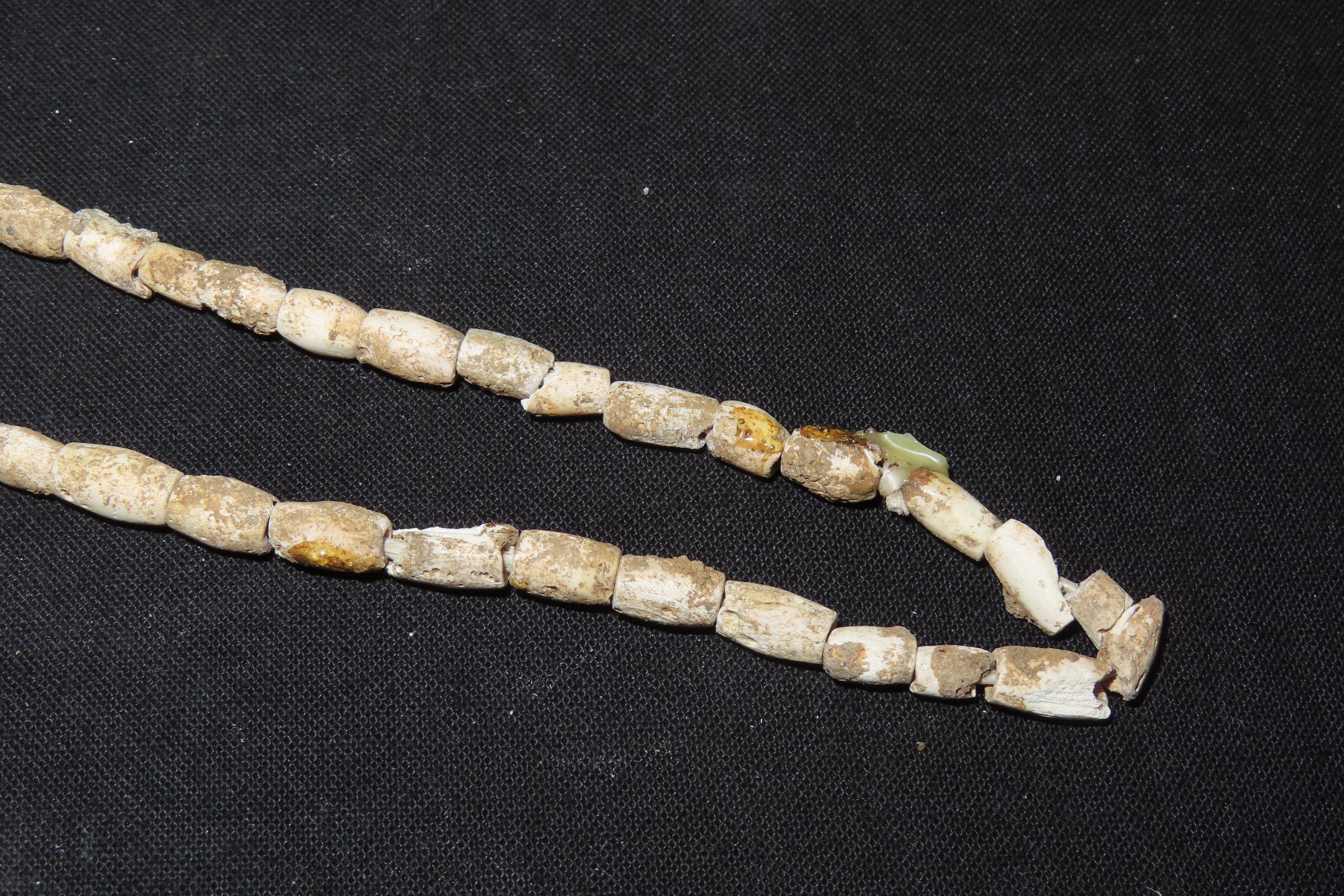 10 1/4" Strand of Shell Beads, Benton Co., Tennessee
