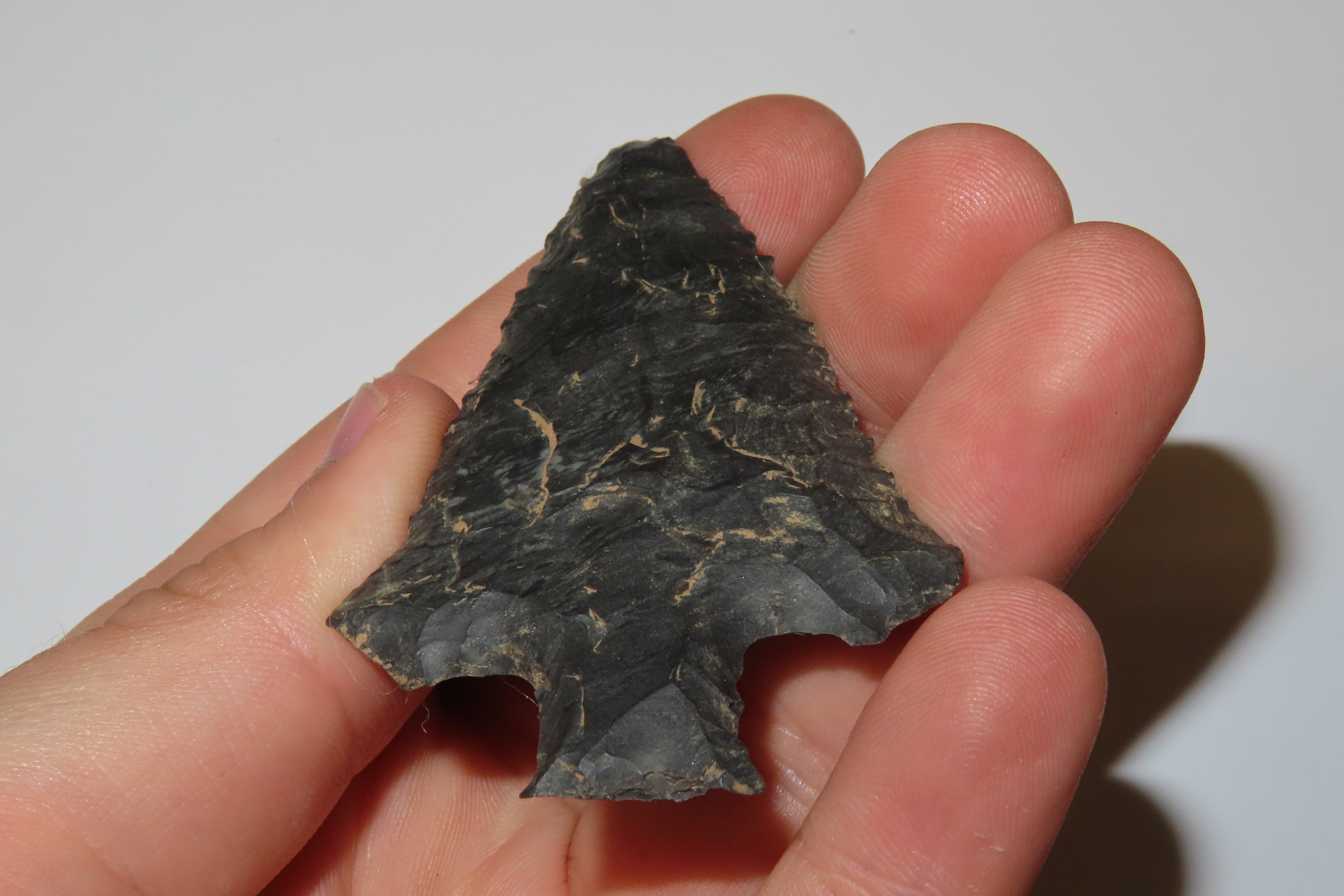 3" Garth Slough Point, Portland Lake, Tennessee