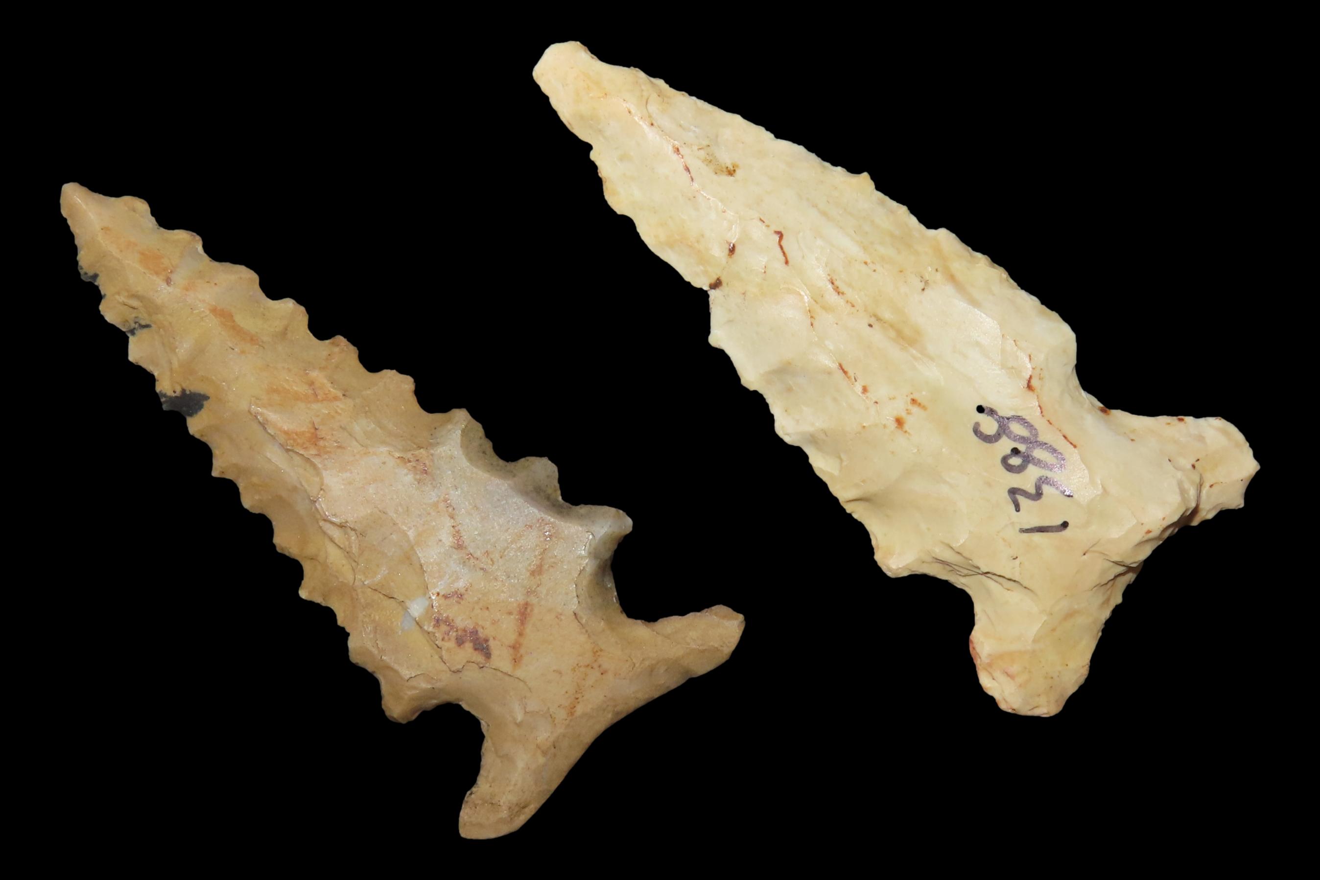 Lot of 2 Big Sandy Points, Tennessee