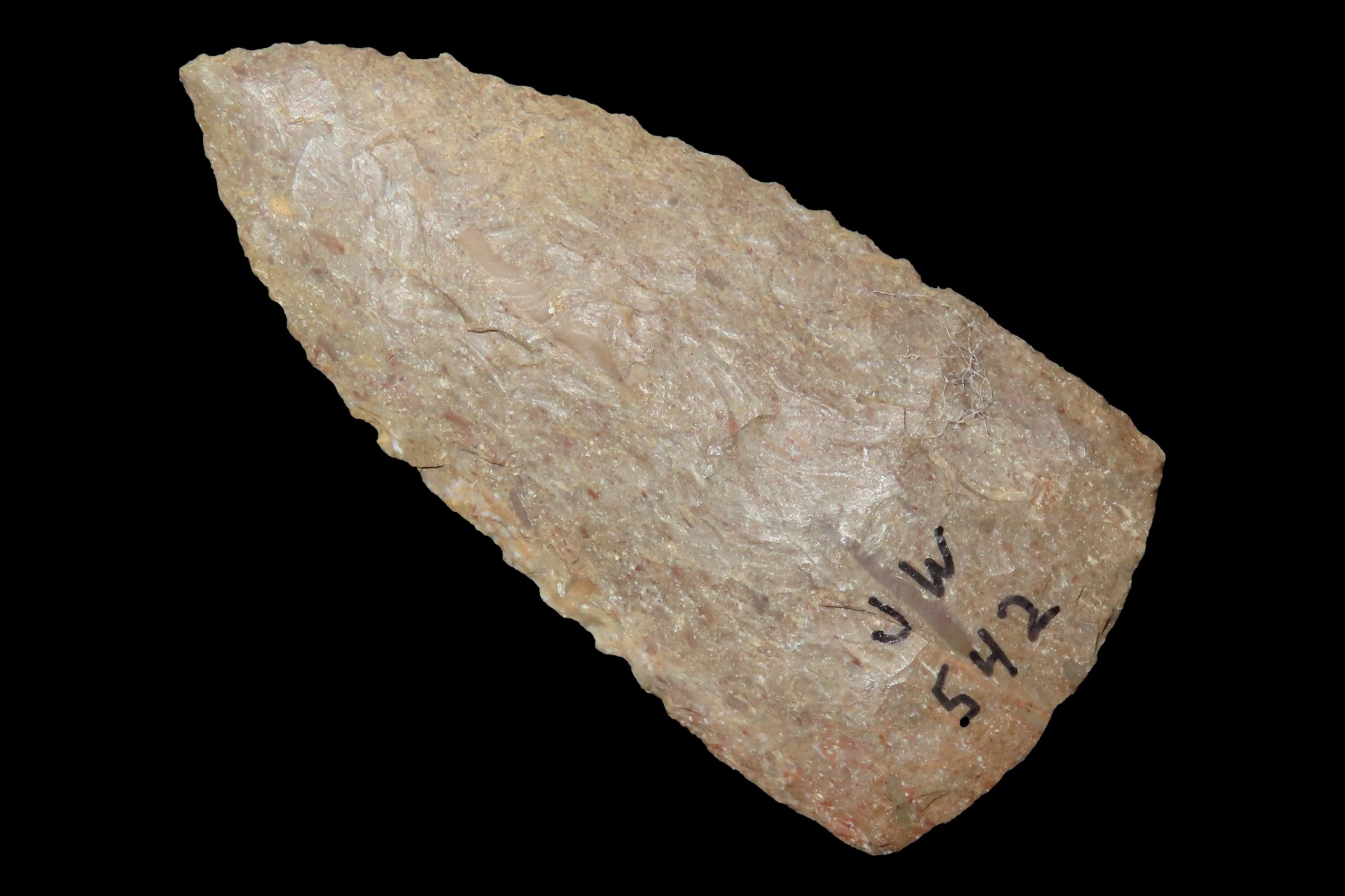 2 3/4" Archaic Blade, Perryville, Tennessee