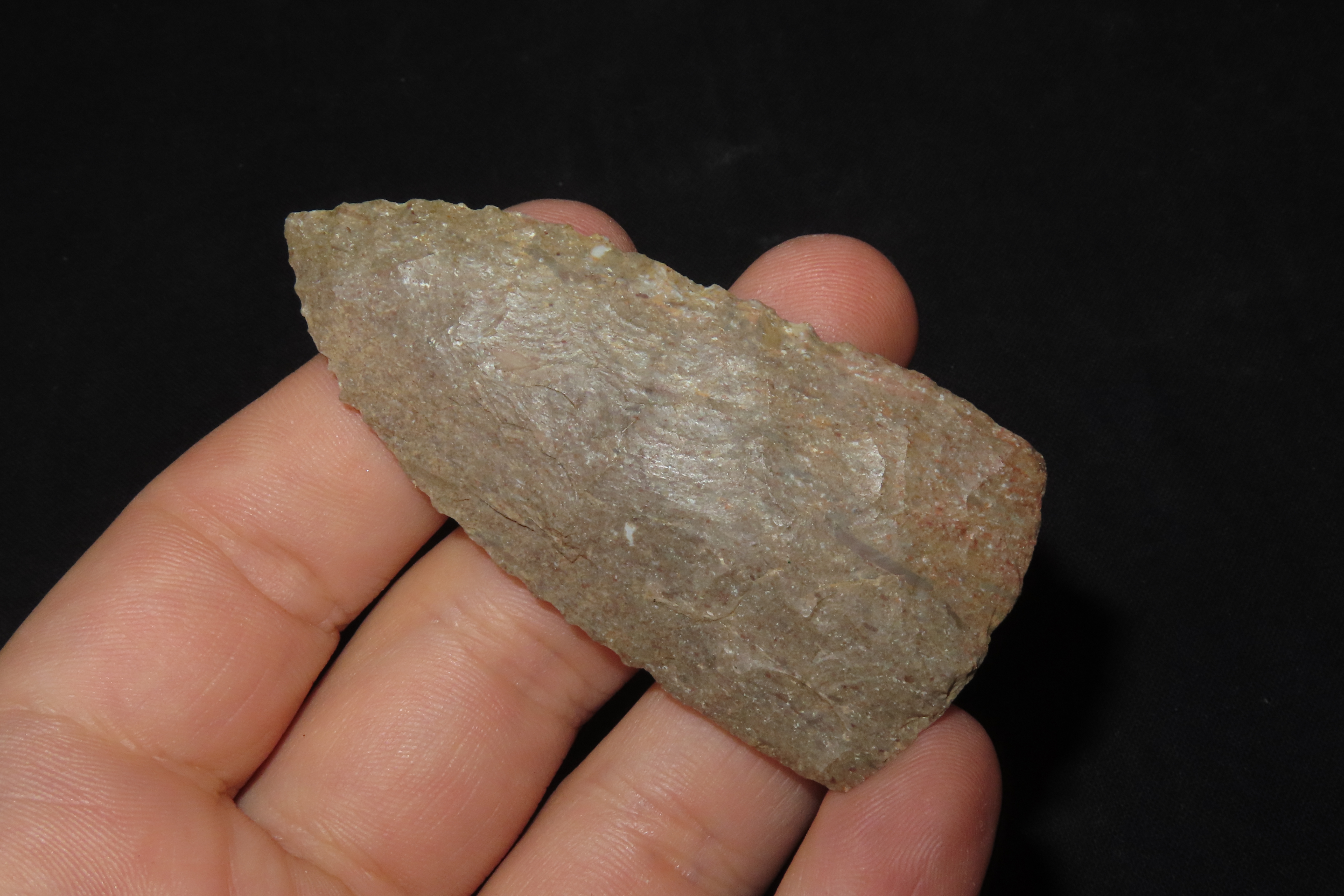 2 3/4" Archaic Blade, Perryville, Tennessee