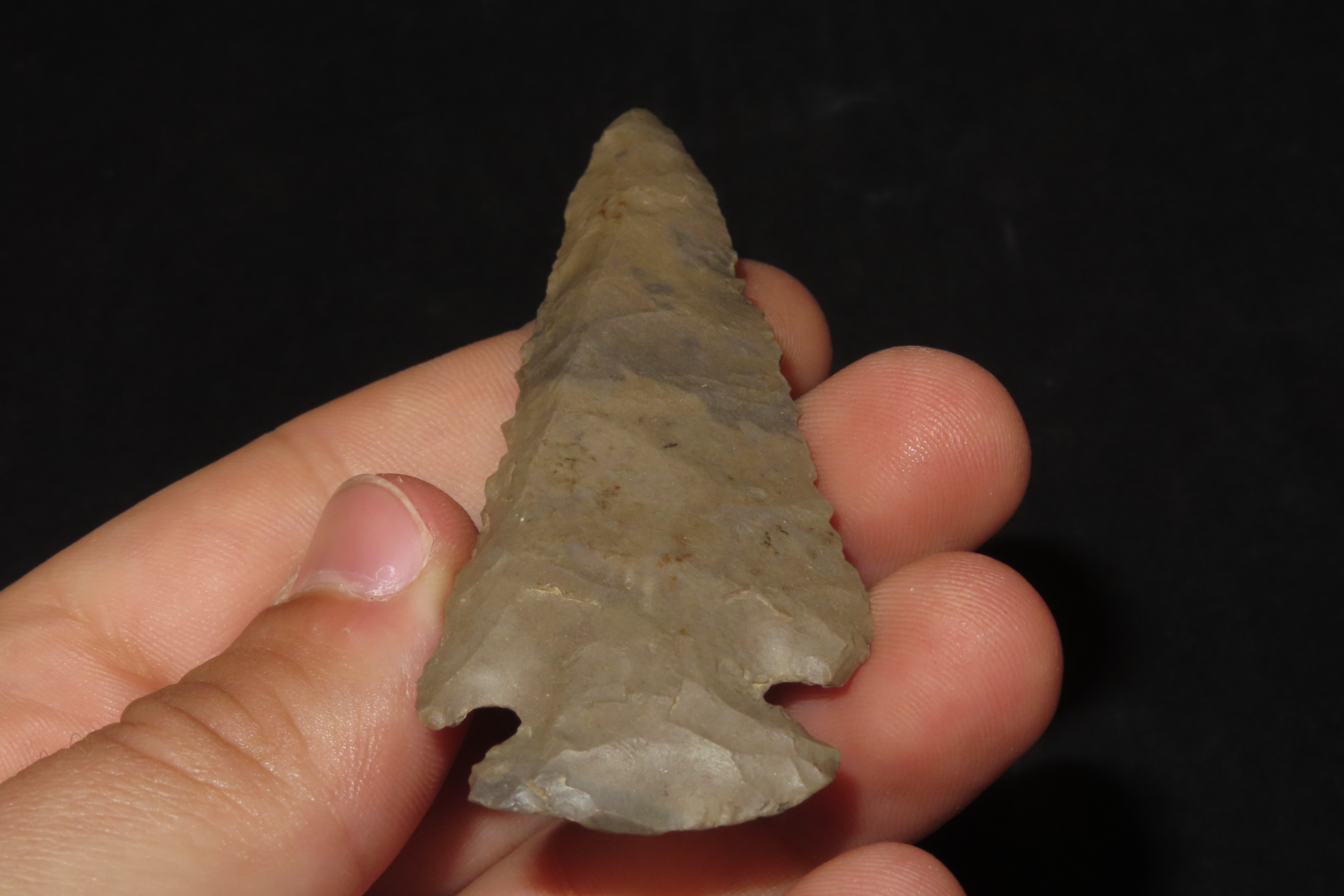 3 1/8" Dovetail, Ballard Co., Kentucky
