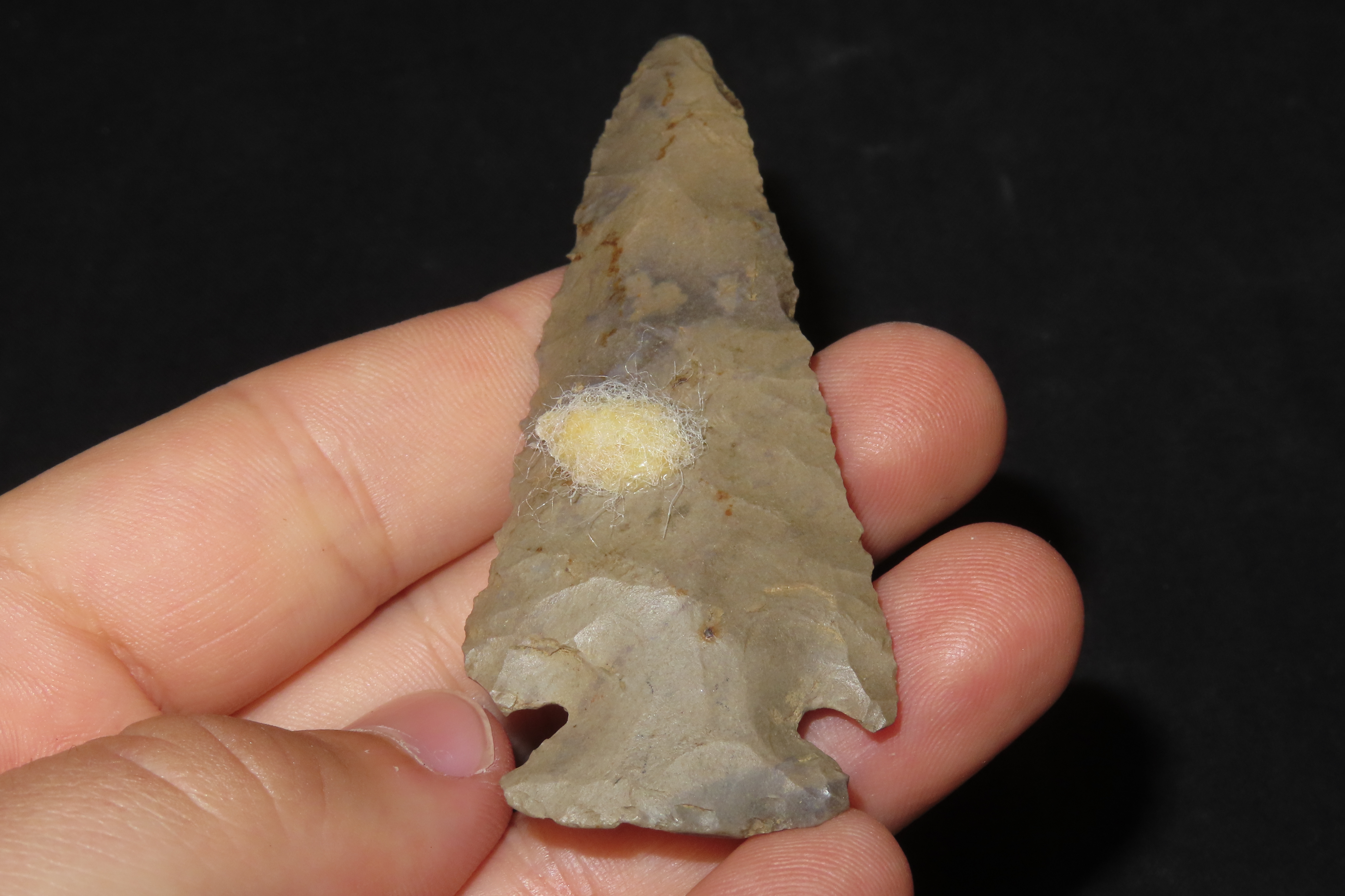 3 1/8" Dovetail, Ballard Co., Kentucky