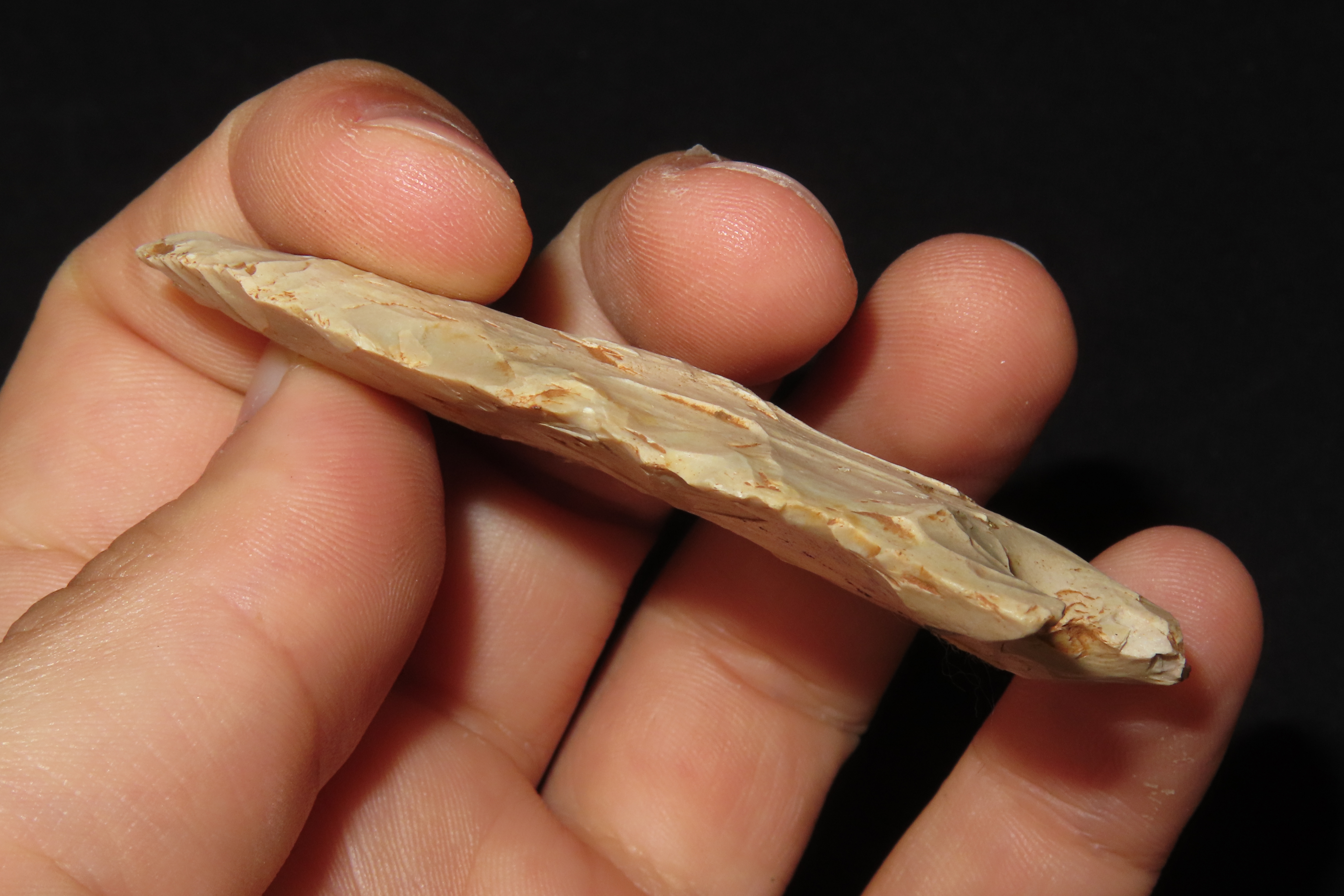 2 7/8" Hamilton Stemmed, Camden, Tennessee
