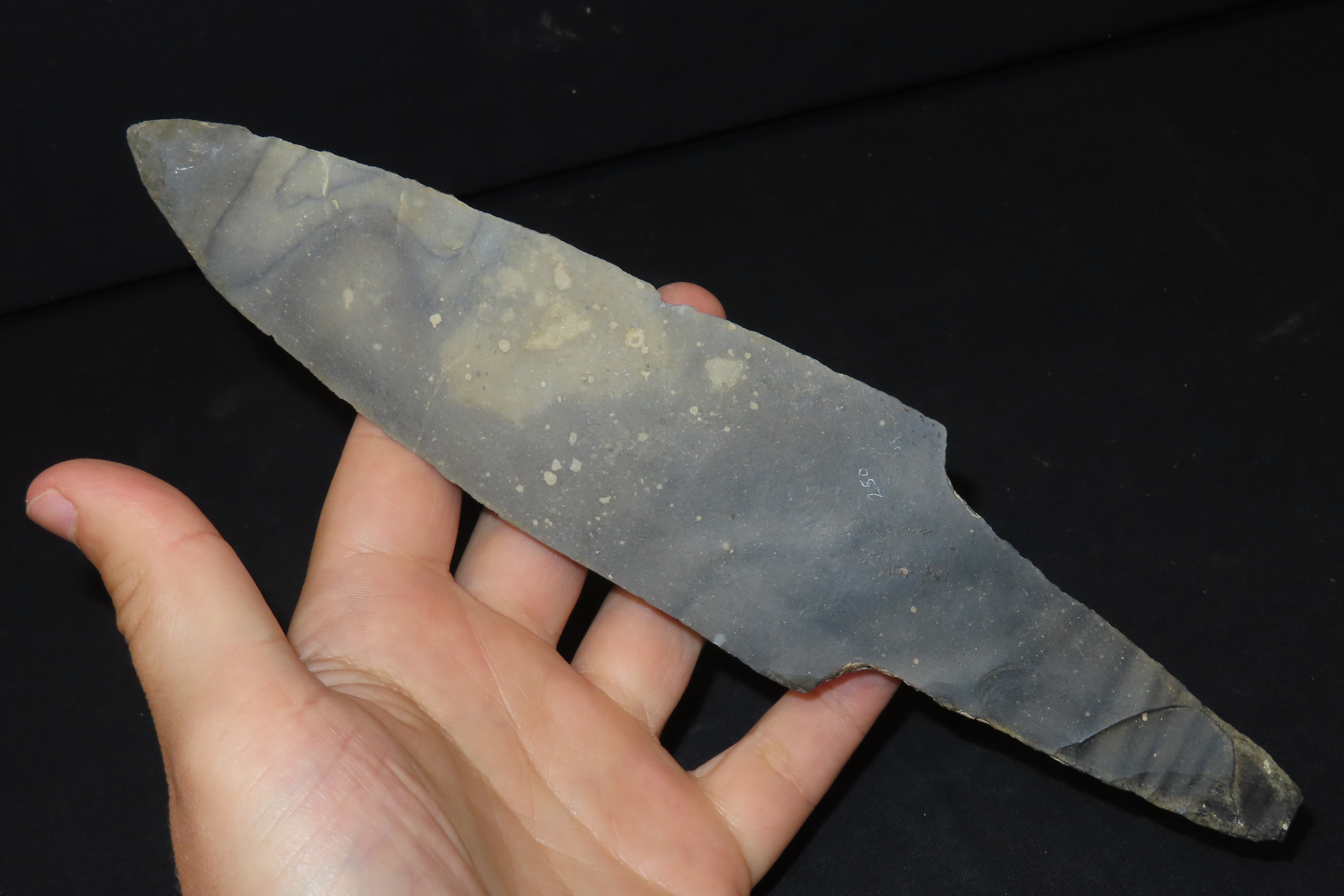 9 7/16" x 2 1/8" Macro Blade, Motley & Leithoff COA
