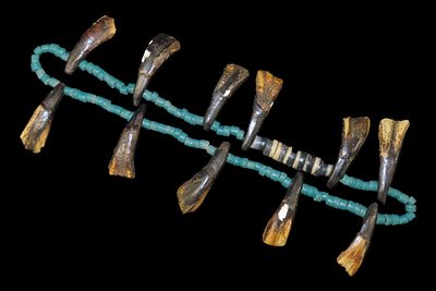 11 5/8" Buffalo Teeth and Trade Bead Necklace