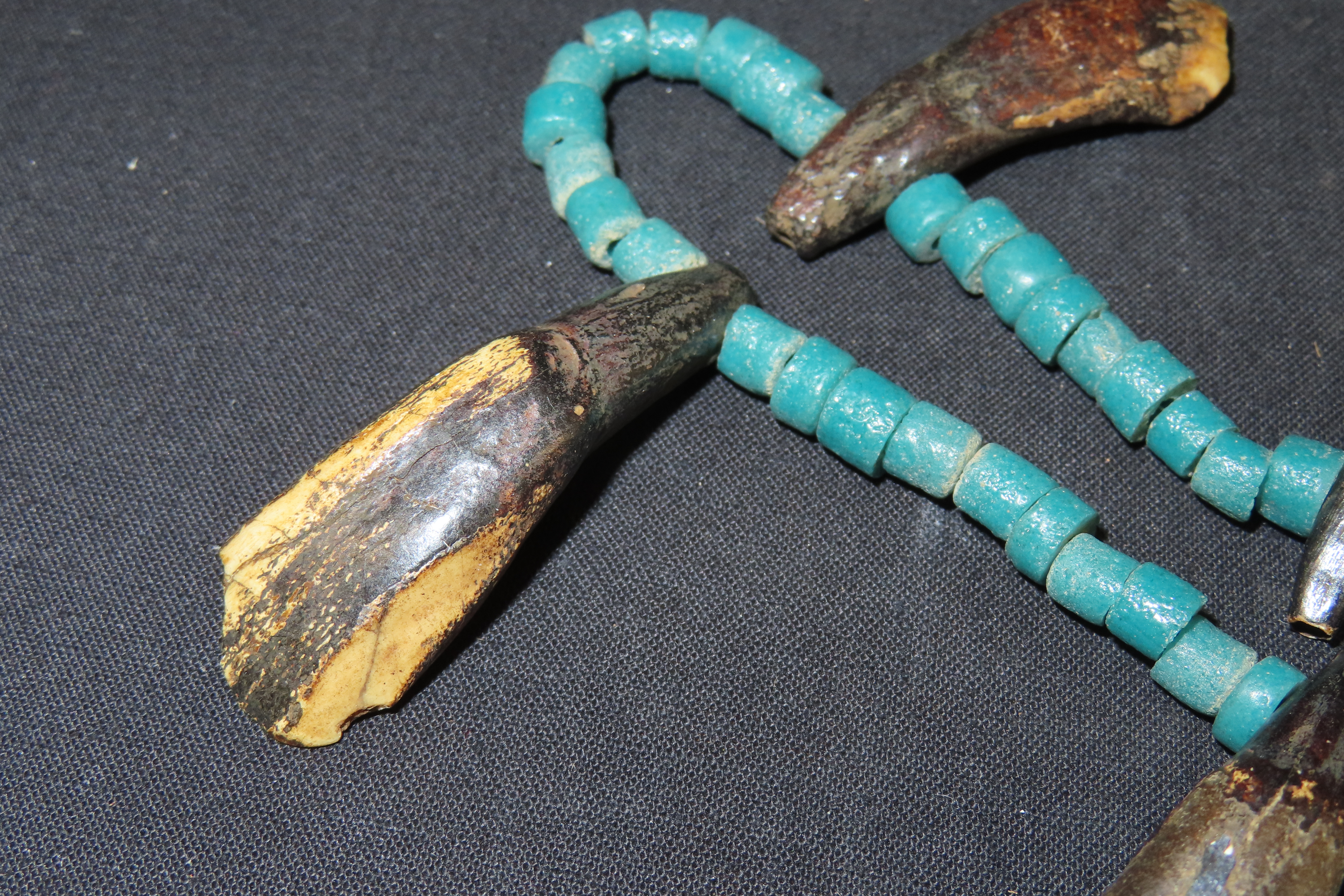 11 5/8" Buffalo Teeth and Trade Bead Necklace