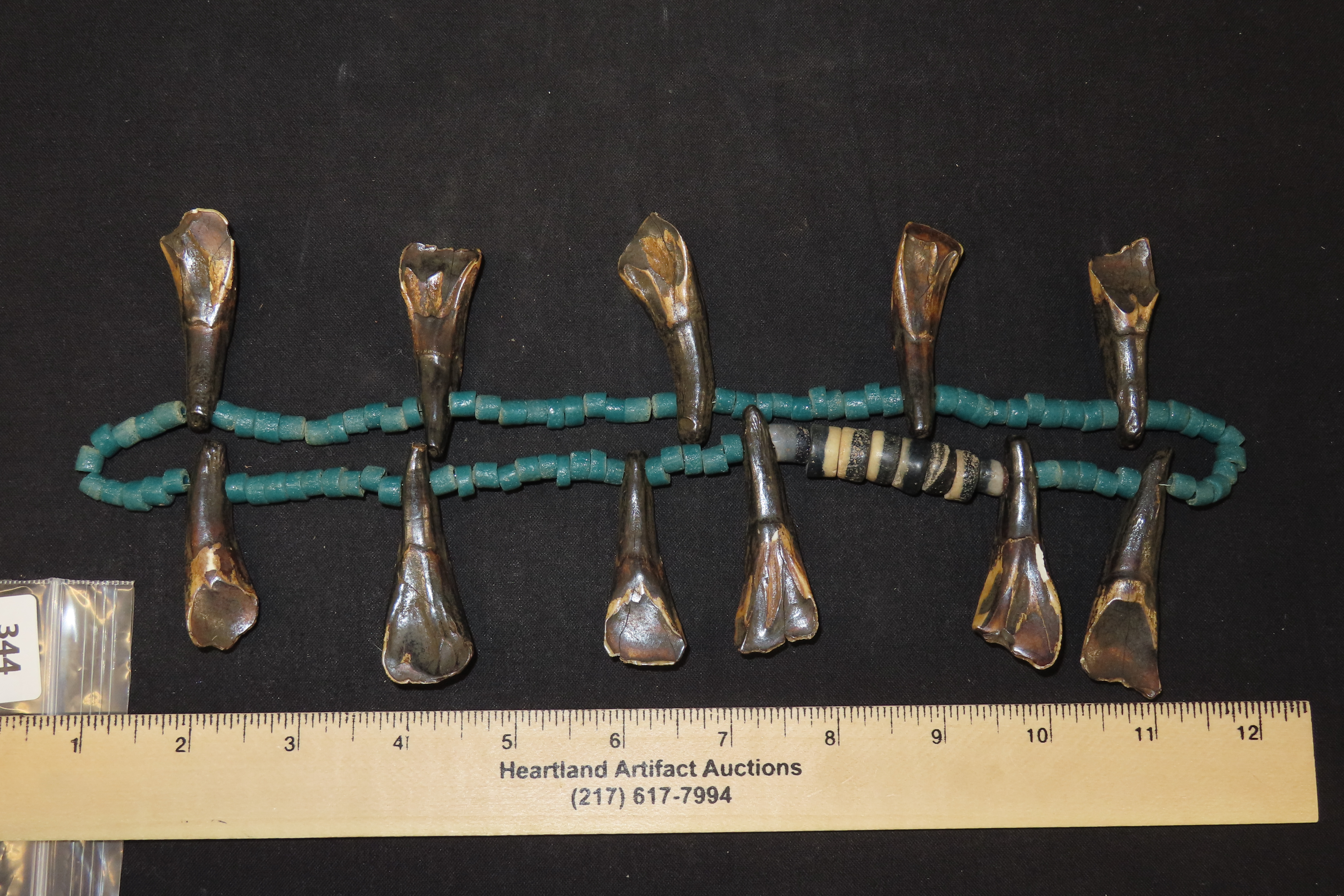11 5/8" Buffalo Teeth and Trade Bead Necklace