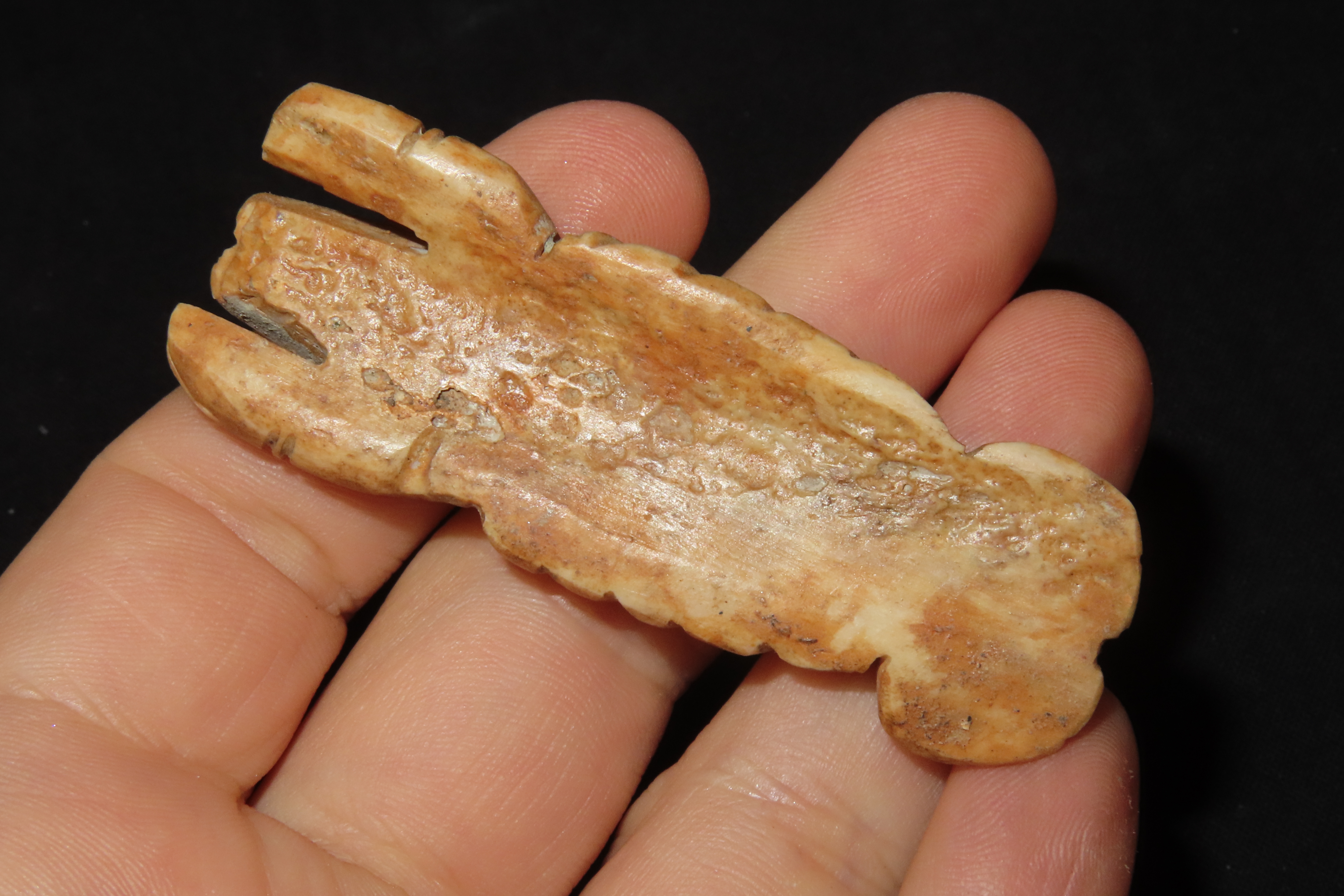 2 5/8" x 1" Bone Lobster Effigy, Pre-Columbian, Found in Belize