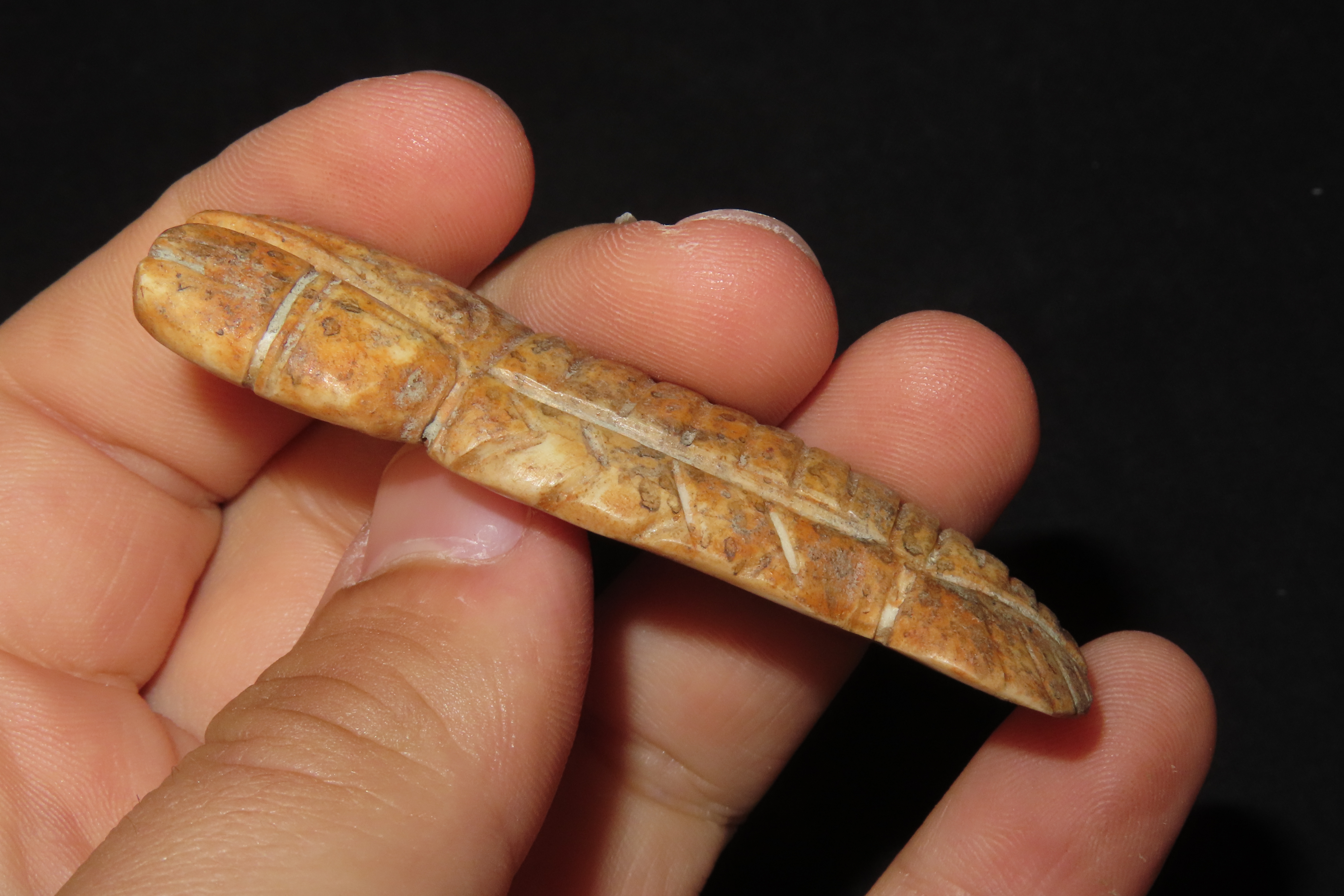 2 5/8" x 1" Bone Lobster Effigy, Pre-Columbian, Found in Belize