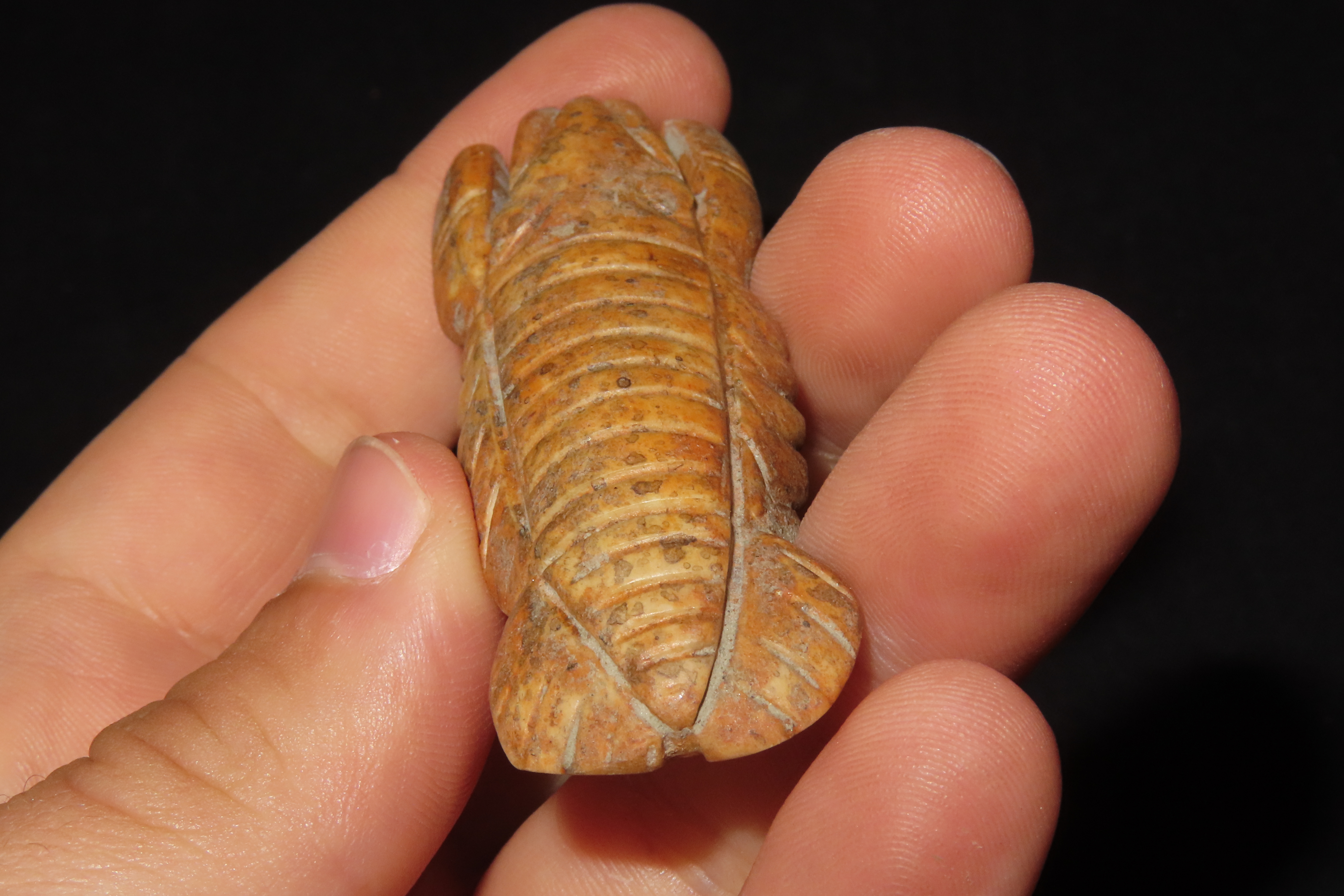 2 5/8" x 1" Bone Lobster Effigy, Pre-Columbian, Found in Belize