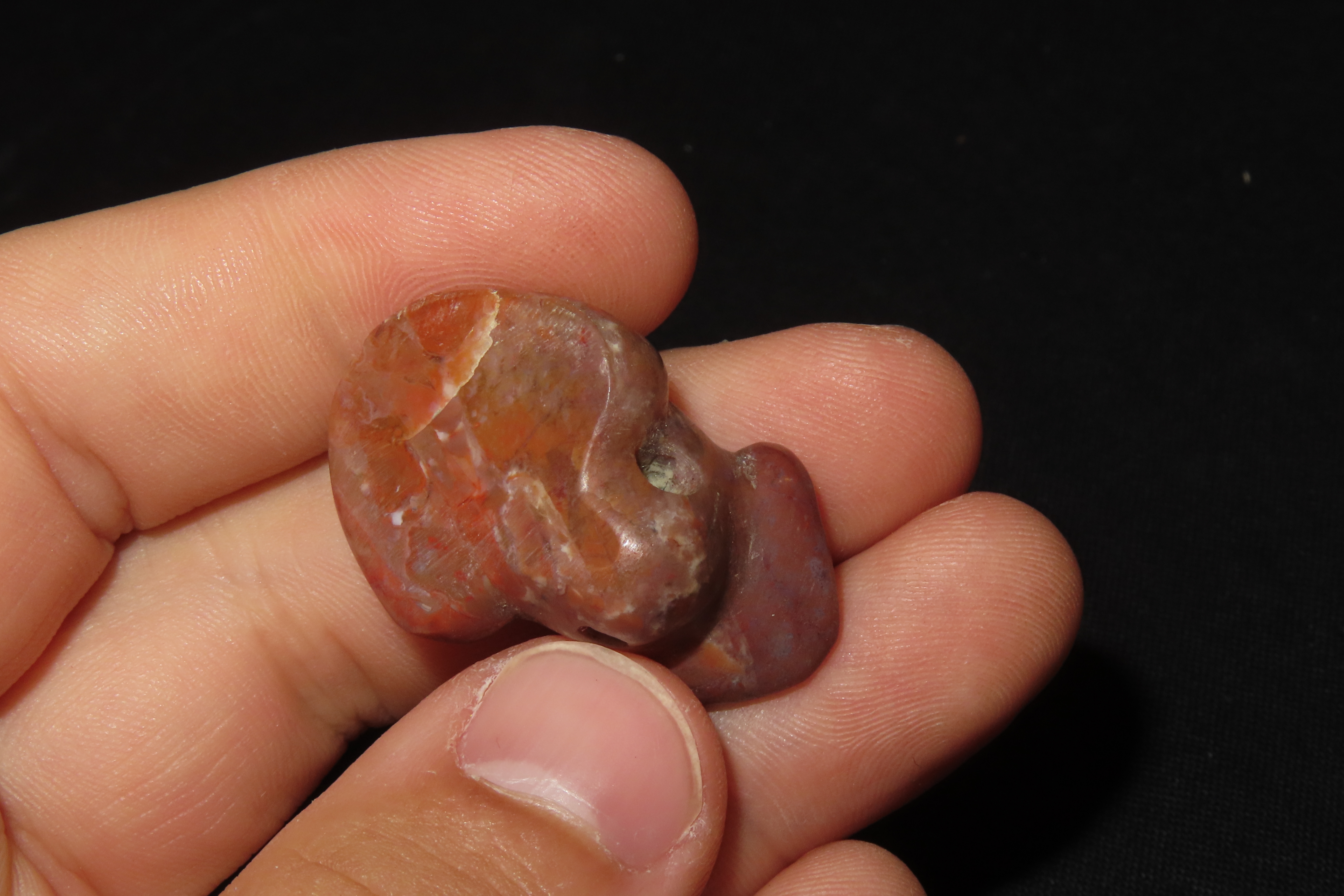 7/8" x 1 5/16" Pre-Columbian Frog Effigy Pendant, Motley & Leithoff COA, Central America