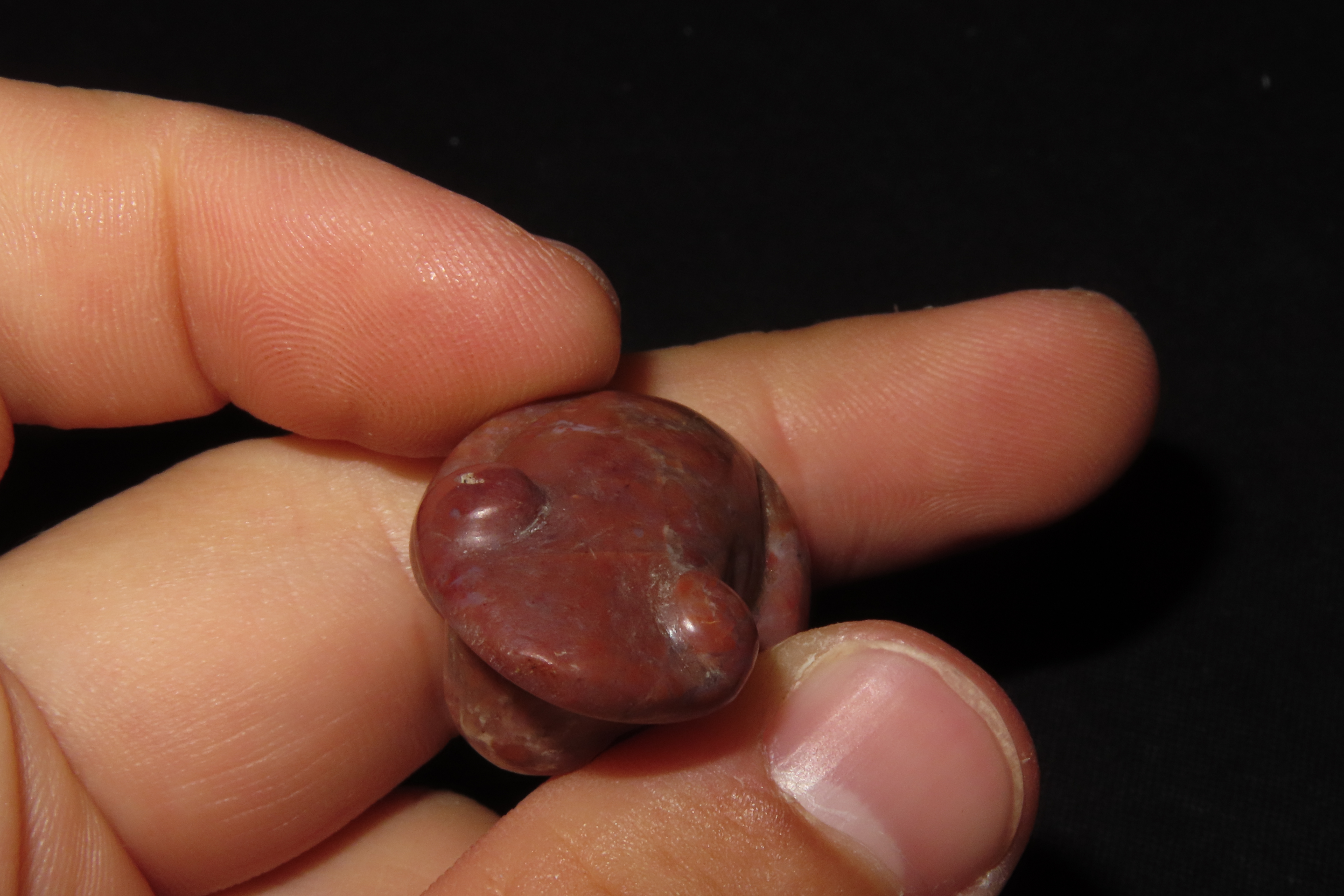 7/8" x 1 5/16" Pre-Columbian Frog Effigy Pendant, Motley & Leithoff COA, Central America