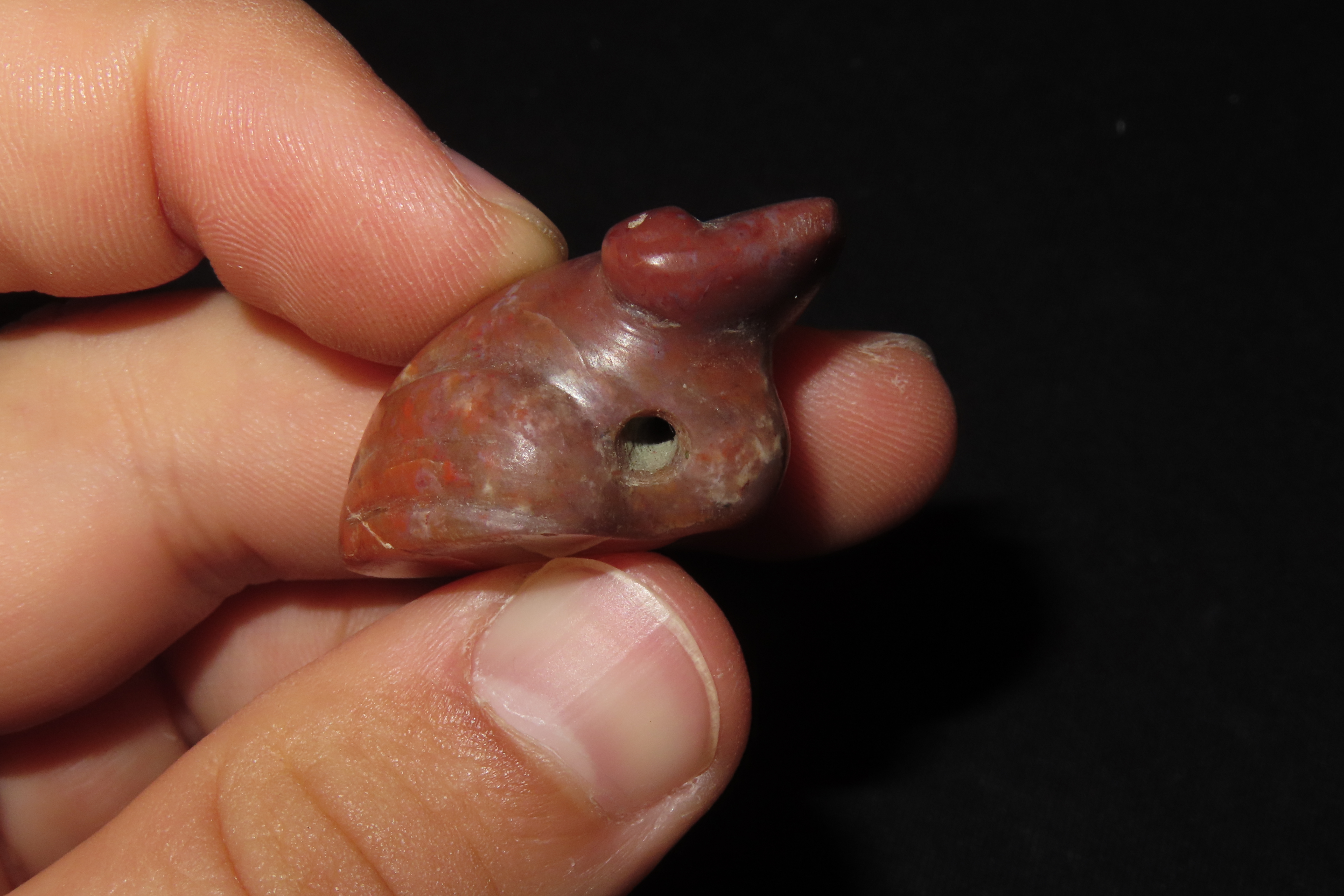 7/8" x 1 5/16" Pre-Columbian Frog Effigy Pendant, Motley & Leithoff COA, Central America