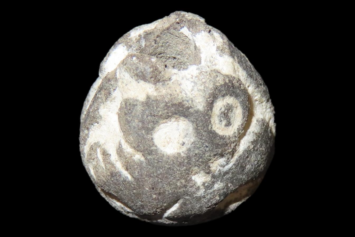 Pre-Columbian Engraved Bead, Machalilla Culture, Ecuador, 1500-1100 BCE