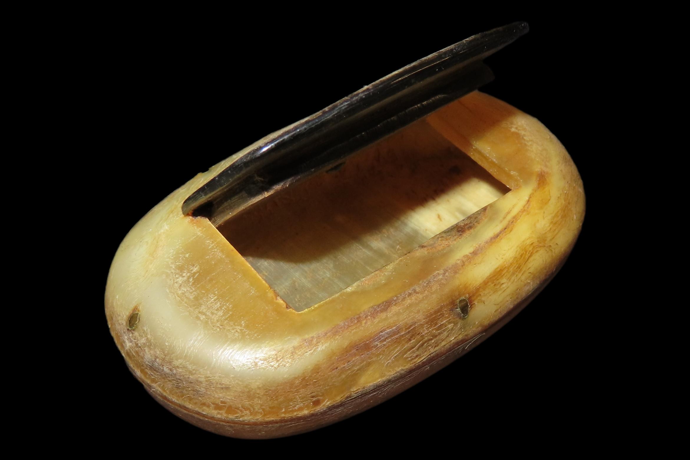 2 3/4" x 1 5/8" Early American Horn Lidded Box